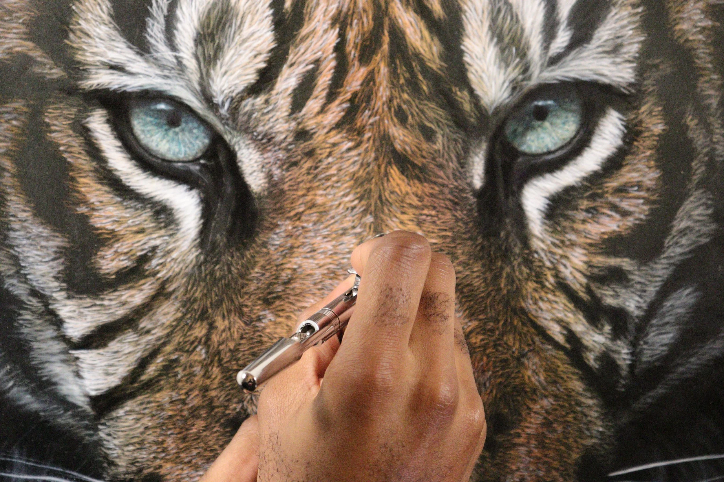 Dan Draws | Discover Artistic Creations Today
