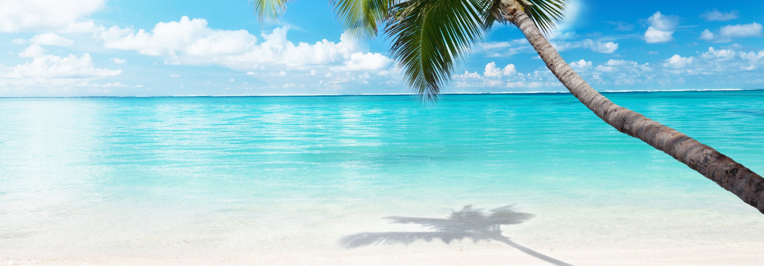 Tropical beach with a leaning palm tree, clear turquoise water, white sandy shore, partially cloudy sky.