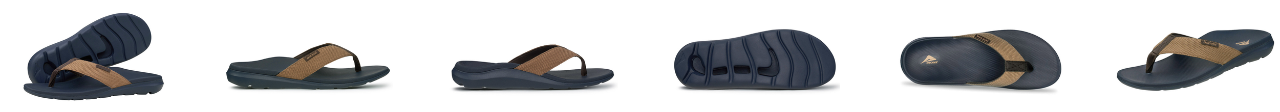 Six pairs of brown and navy flip-flop sandals shown from different angles on a white background.