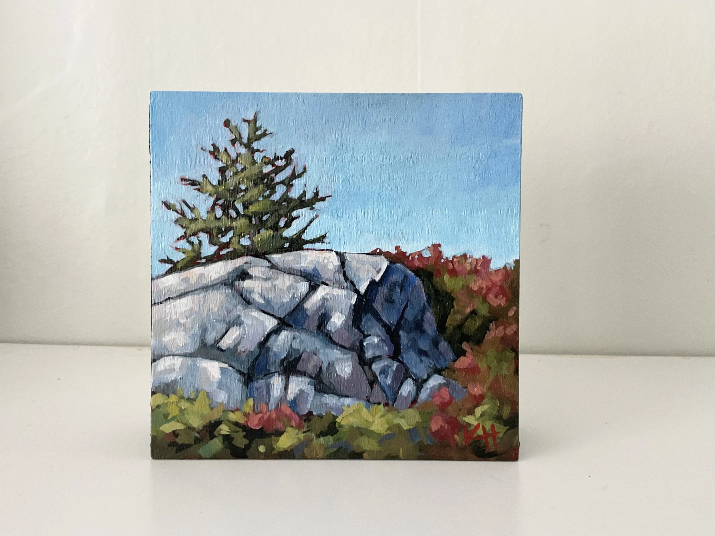 on-the-rocks-6x6-kelly-harding.jpeg