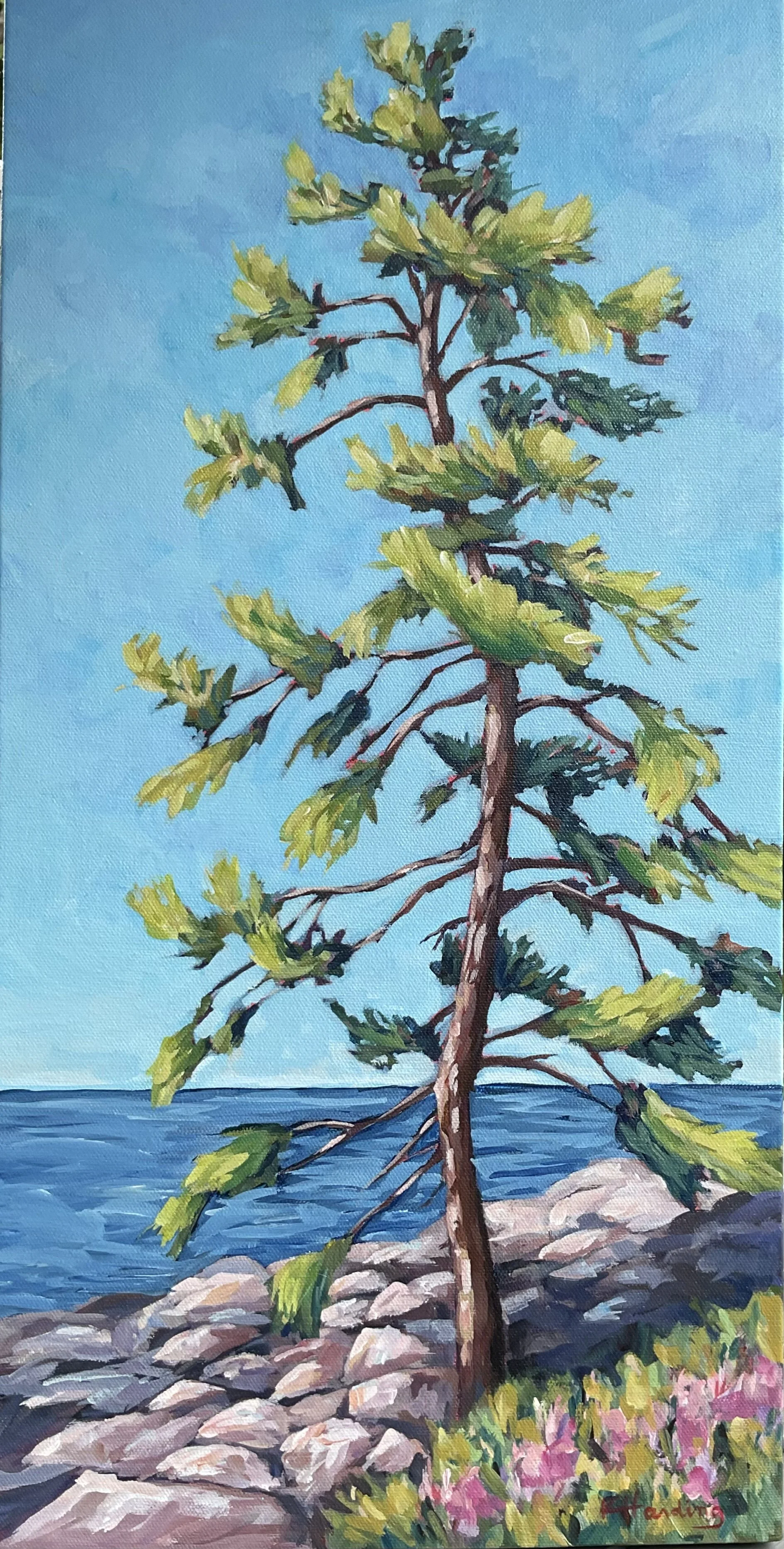 "Tall Tree by the Sea"