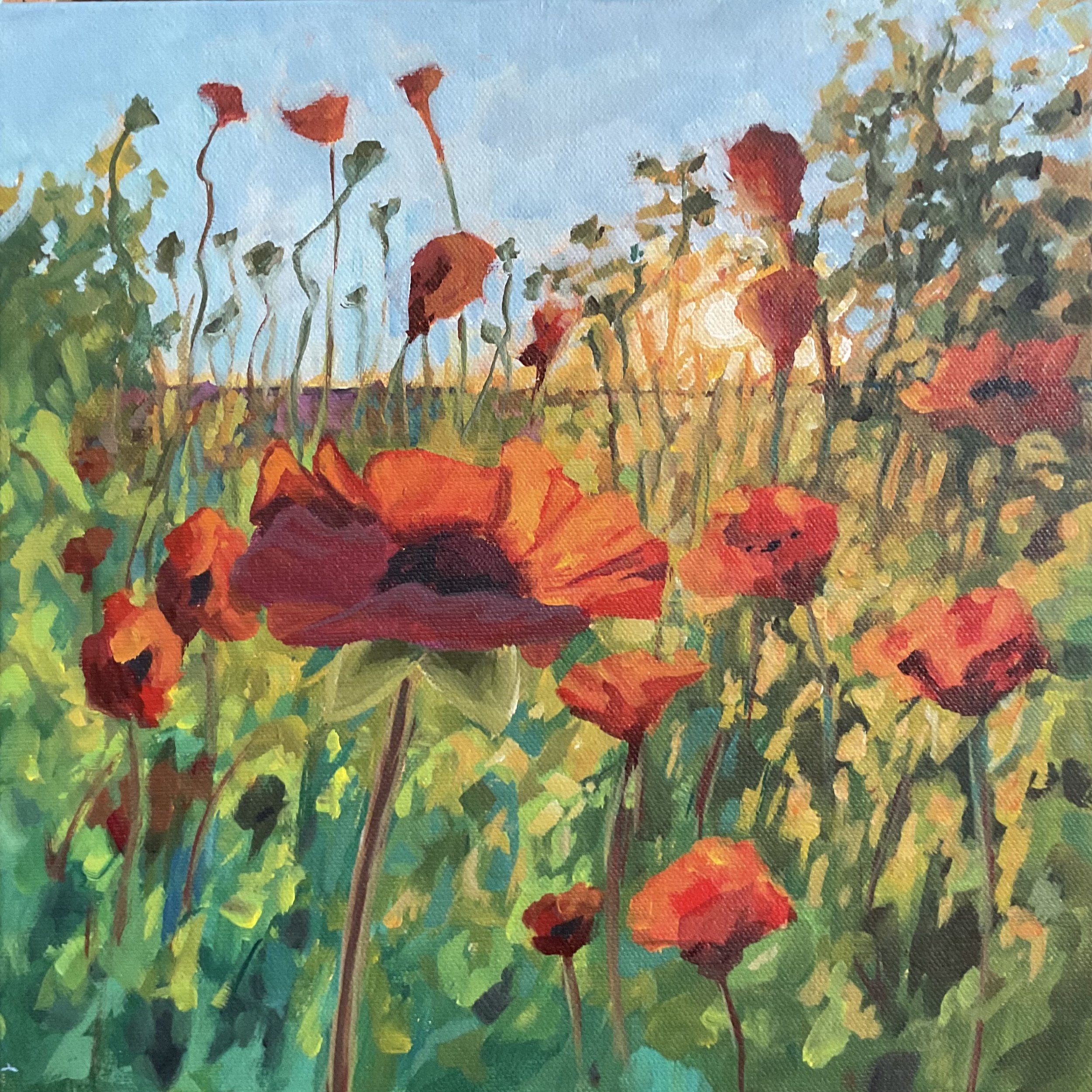 "Poppy Field"