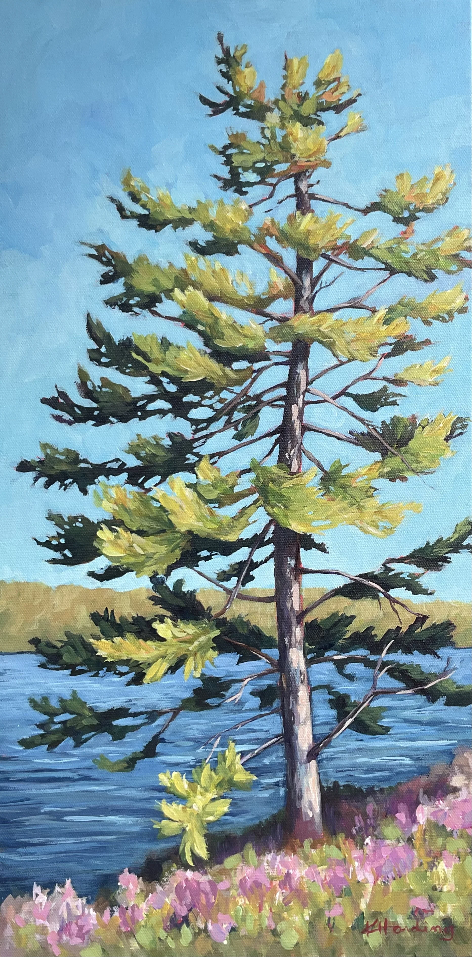 "Tall Tree Lakeside"