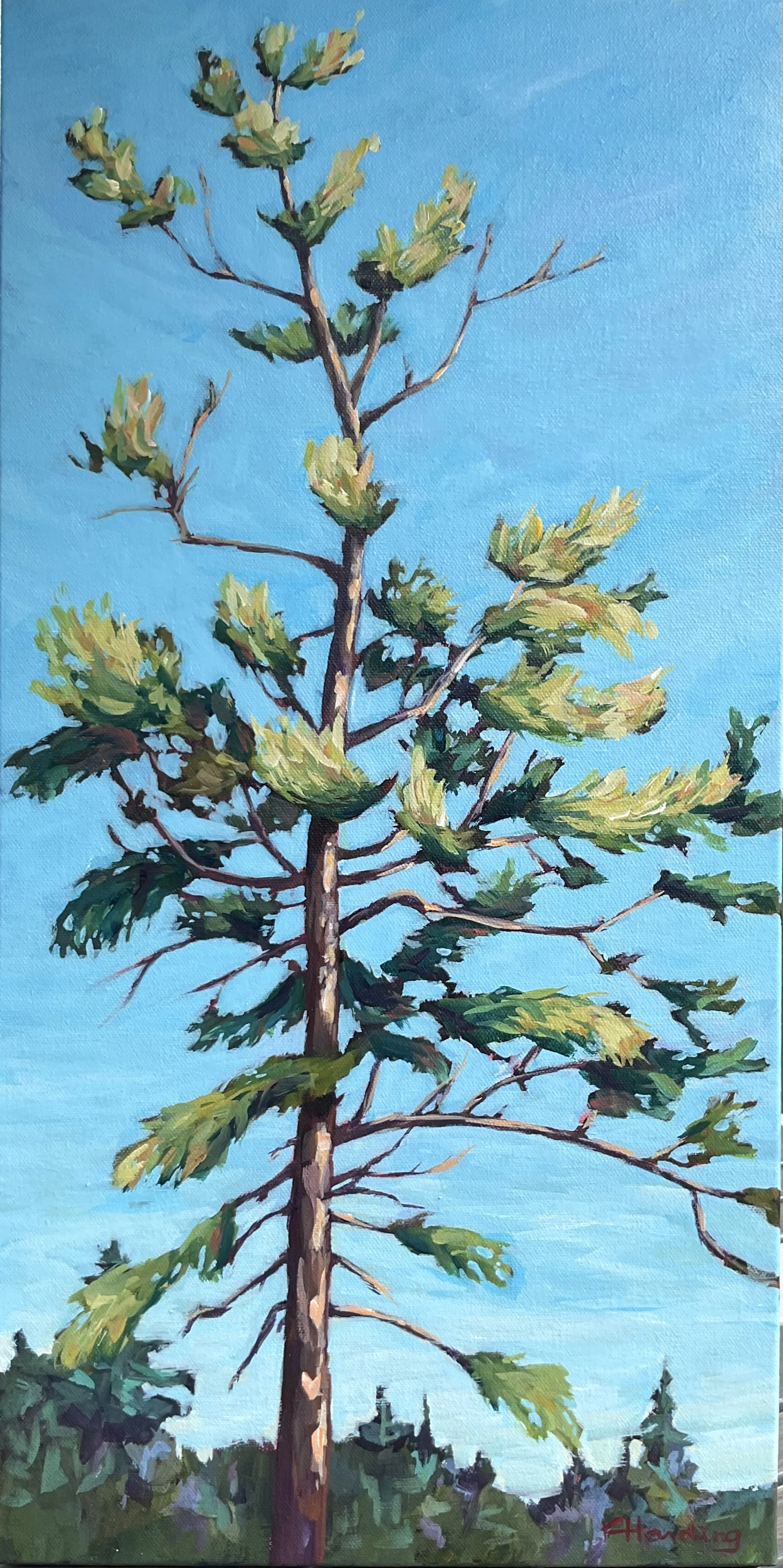"Tall Tree Alone"