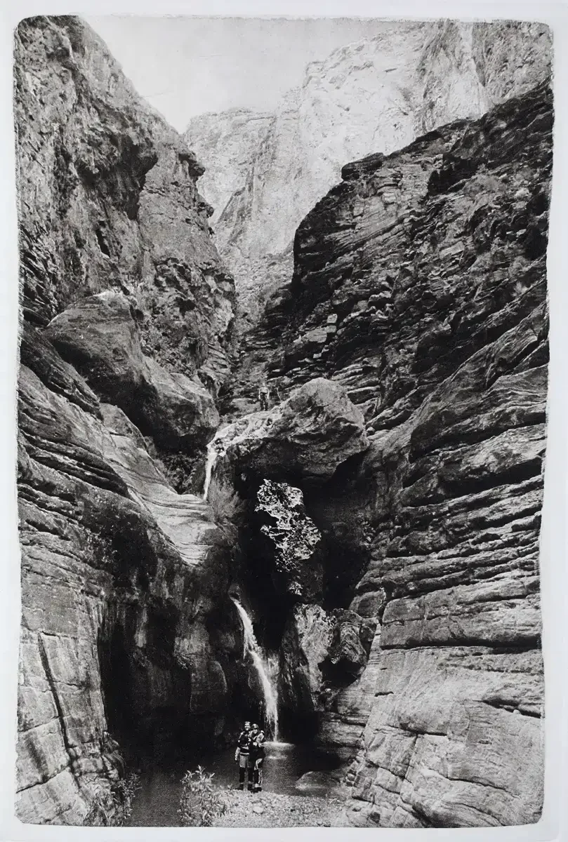 ELVES-CHASM-LOOKING-IN-BLACK.webp