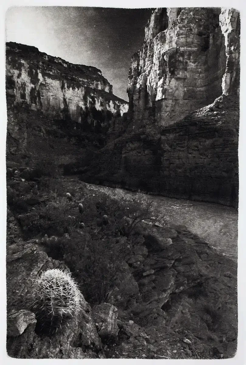 CACTUS-WEST-BLACK.webp