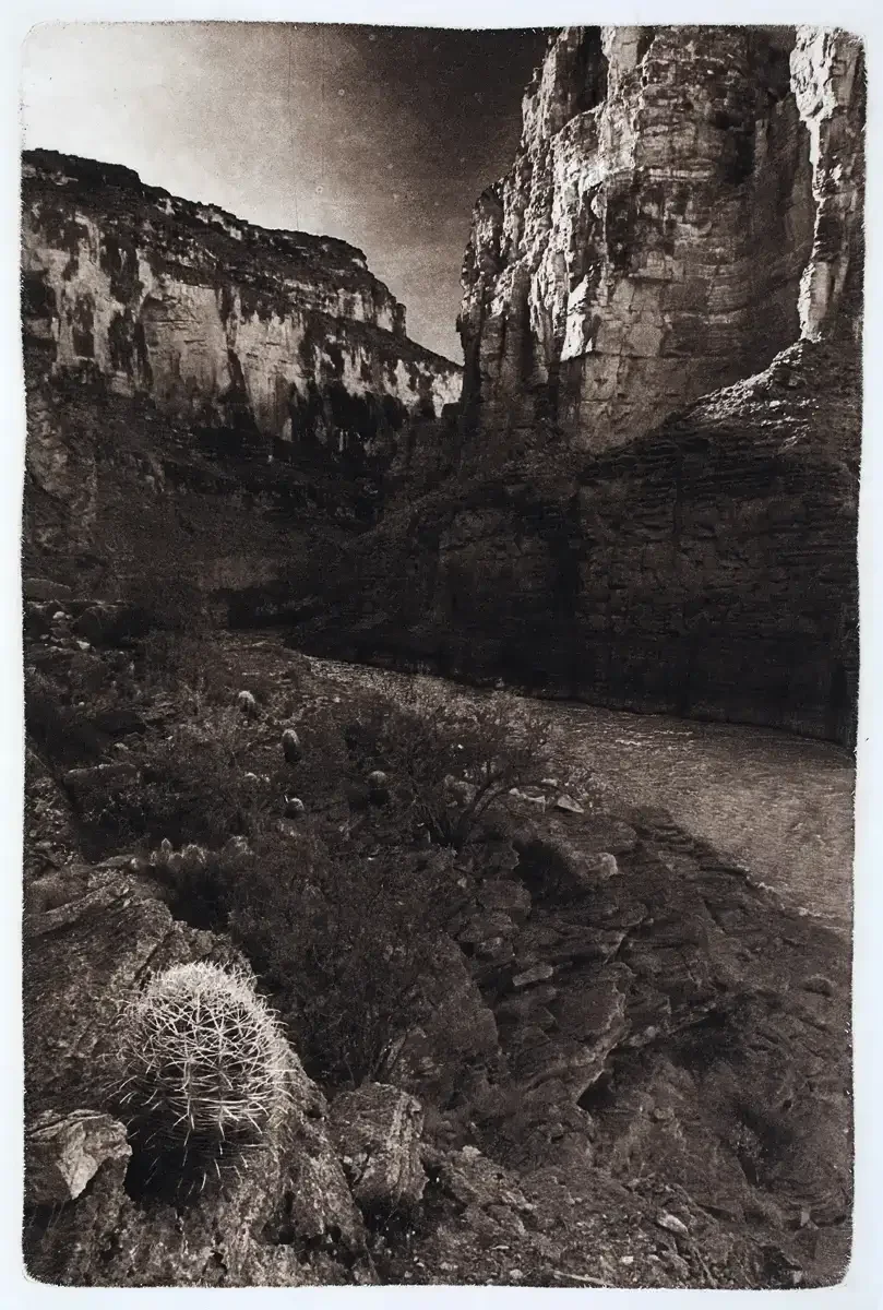 CACTUS-WEST-SEPIA.webp