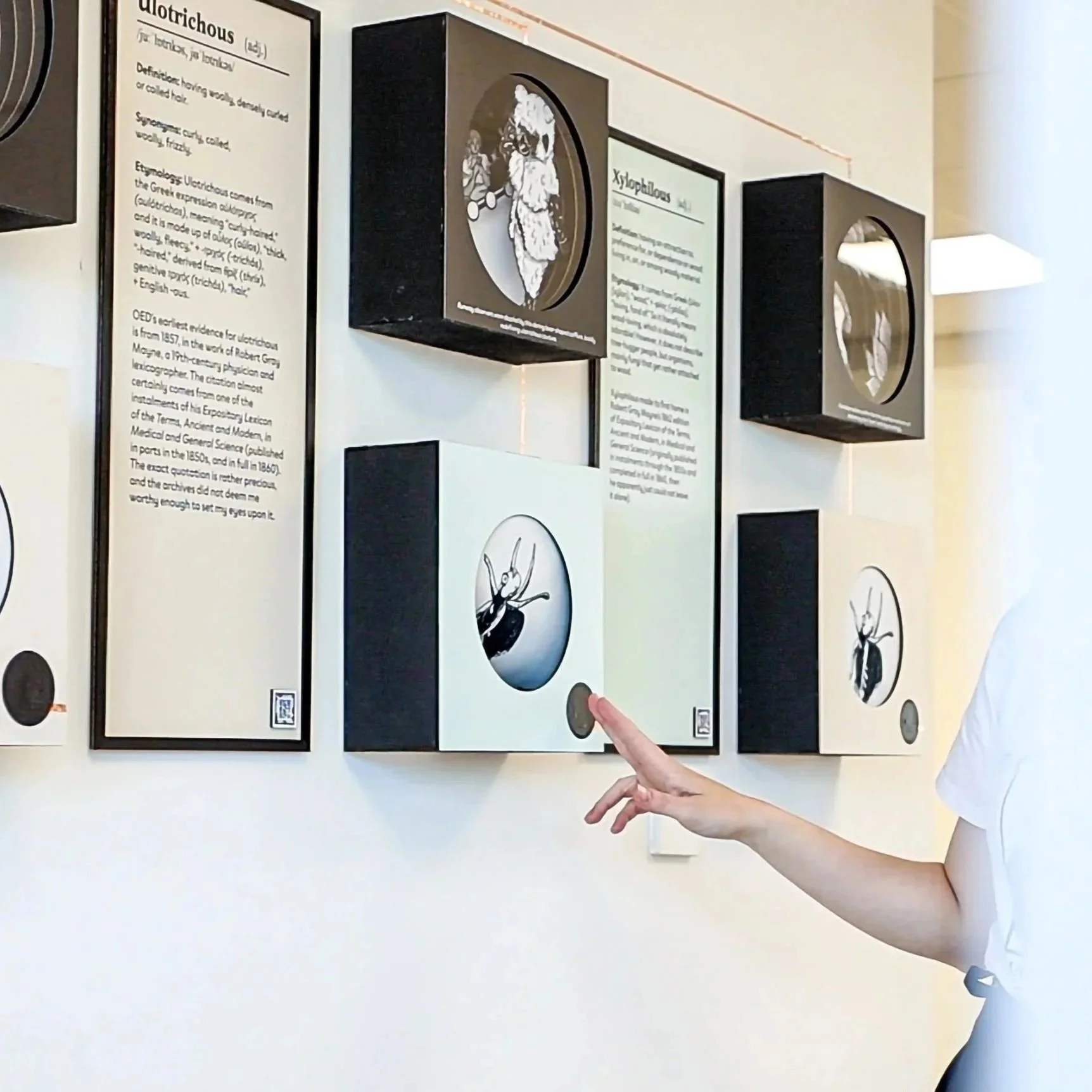 Interacting with the ulotrichous sensory box of the Obscurities Observed installation at Rochester House, Canterbury