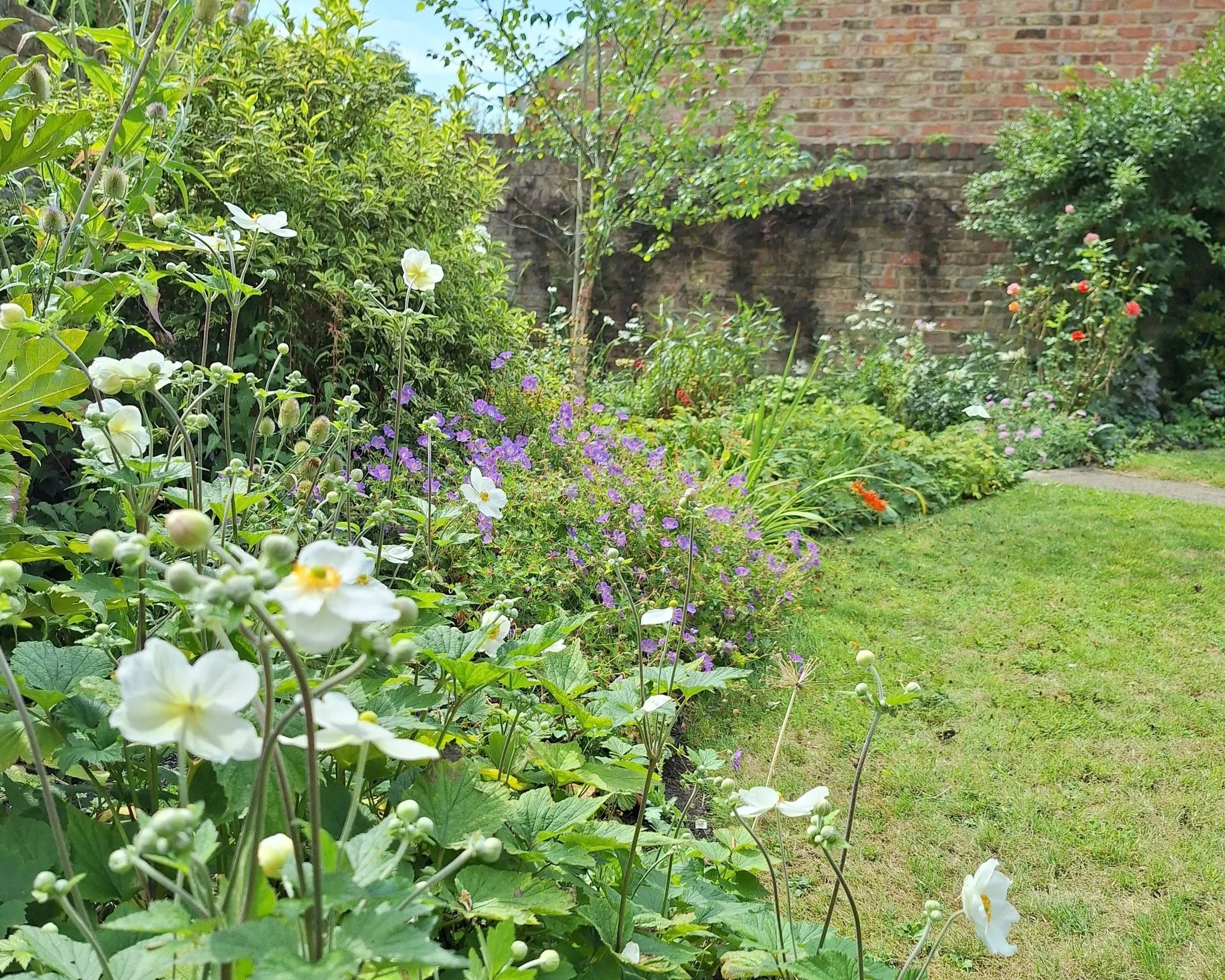 A garden with a brick wall and a variety of colorful flowers and green plants, next to a stone pathway.