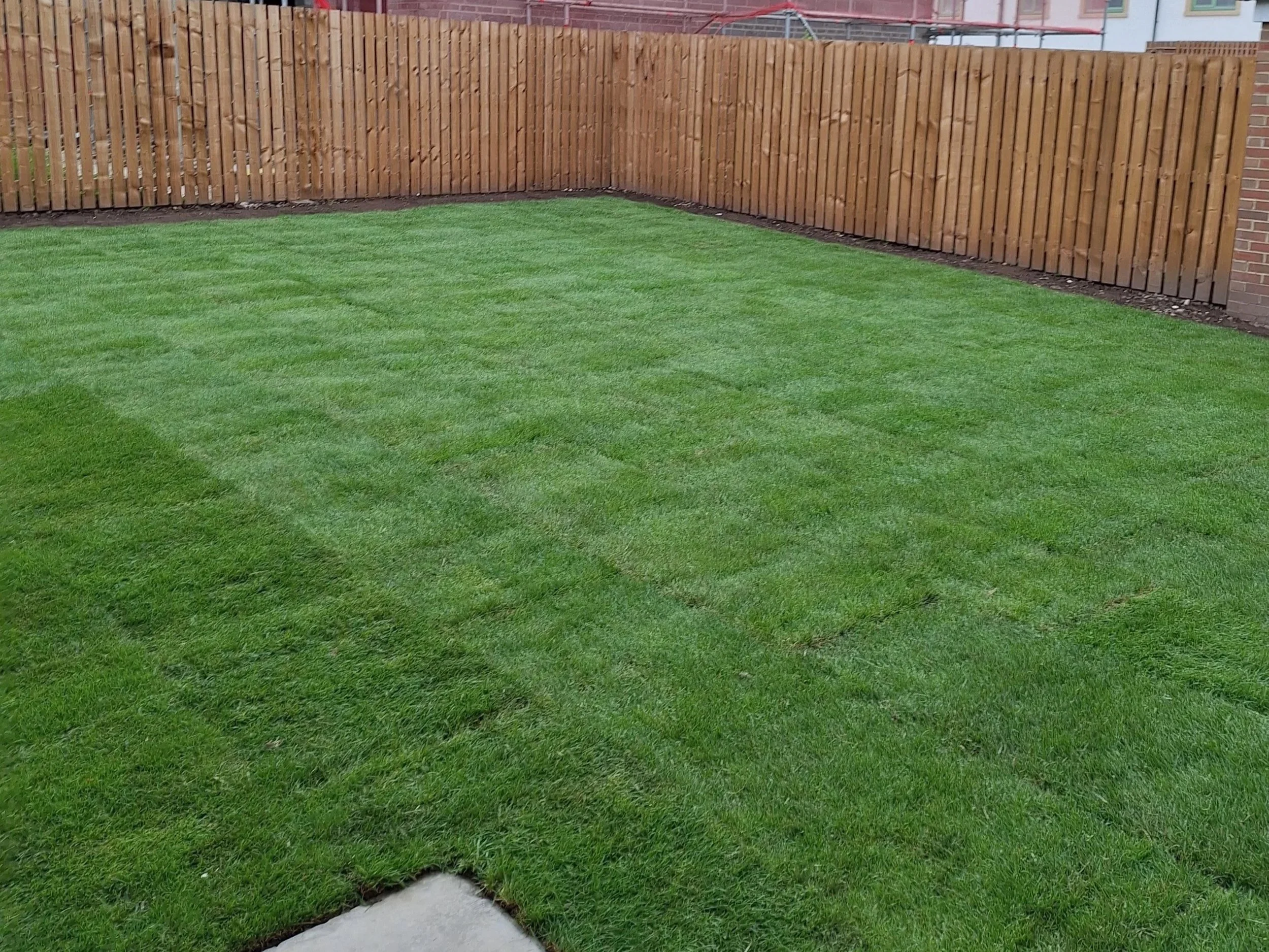 Freshly laid green lawn with striped grass, bordered by a wooden fence and brick wall.