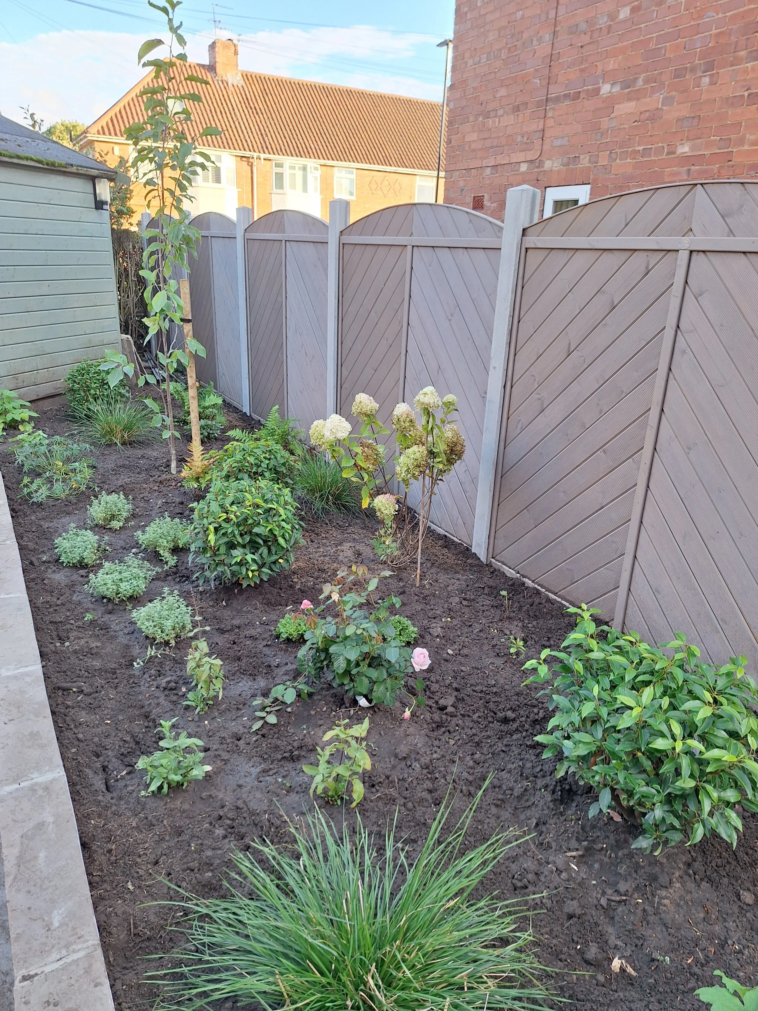 A backyard garden with newly planted flowers and shrubs, bordered by a gray wooden fence