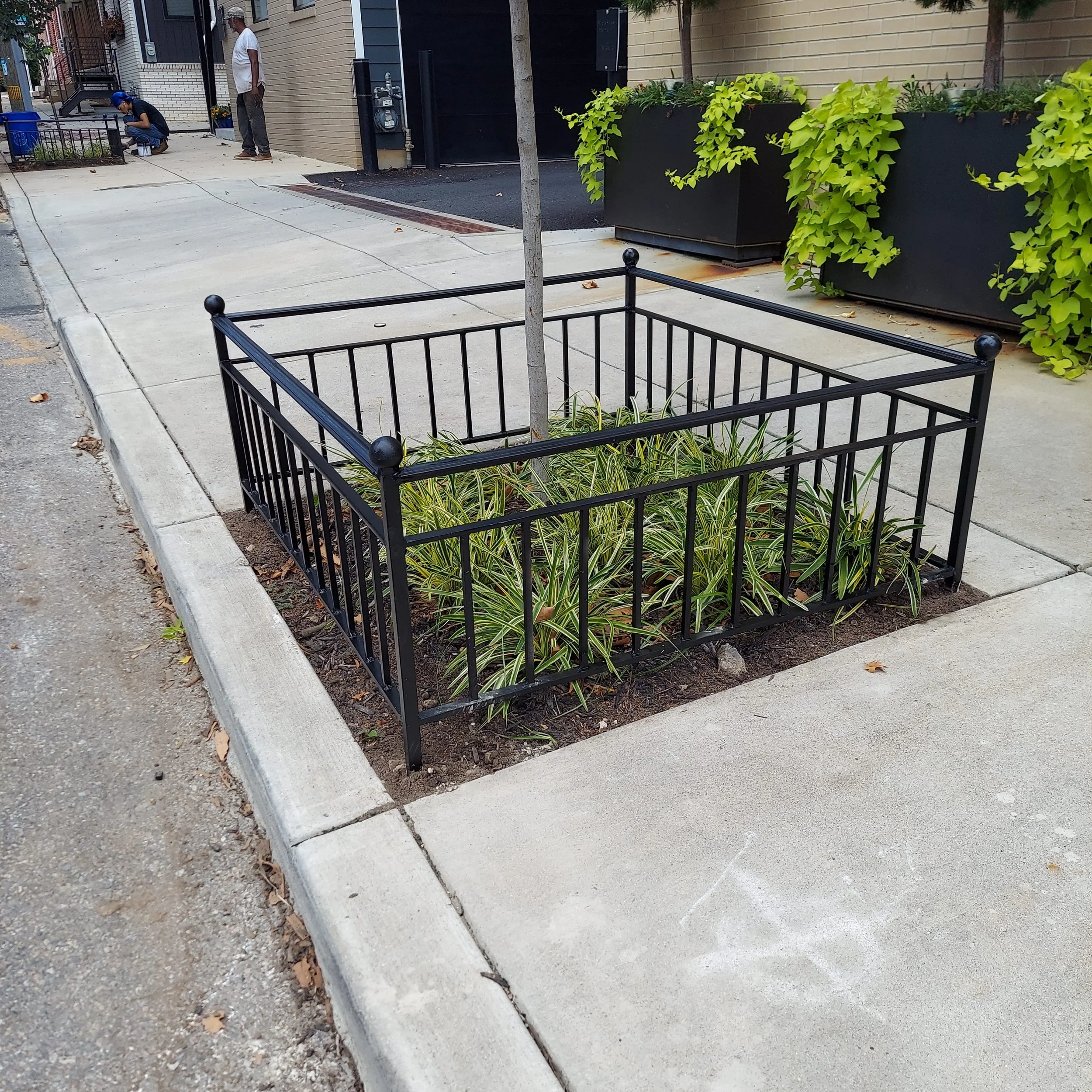 Steel Wrought Iron Tree Guards