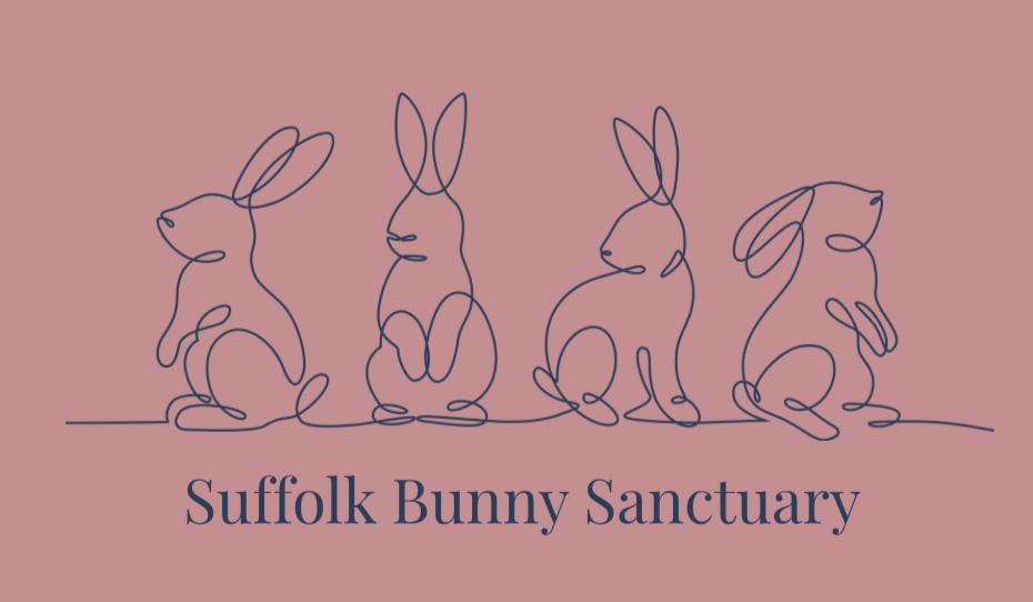 Suffolk Bunny Sanctuary