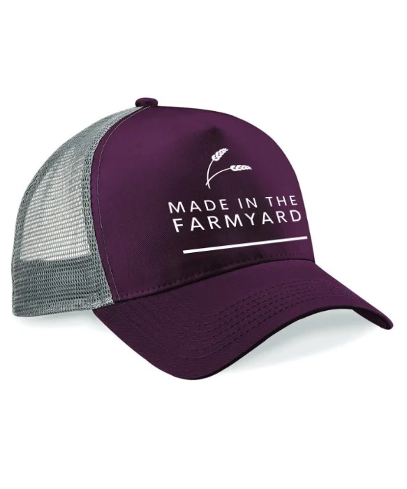 Snapback cap puple.jpg