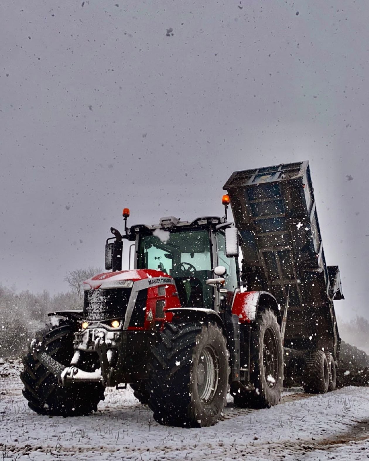 Snowy conditions this morning on the muck carting job in the 8s,265 

Operator @alex_odling 

#masseyferguson #masseyferguson8s #masseyferguson8s265 #asmarstontrailers #muckcarting #manure #grow #food #foodproduction #freefertilizer #fertilizer #coun
