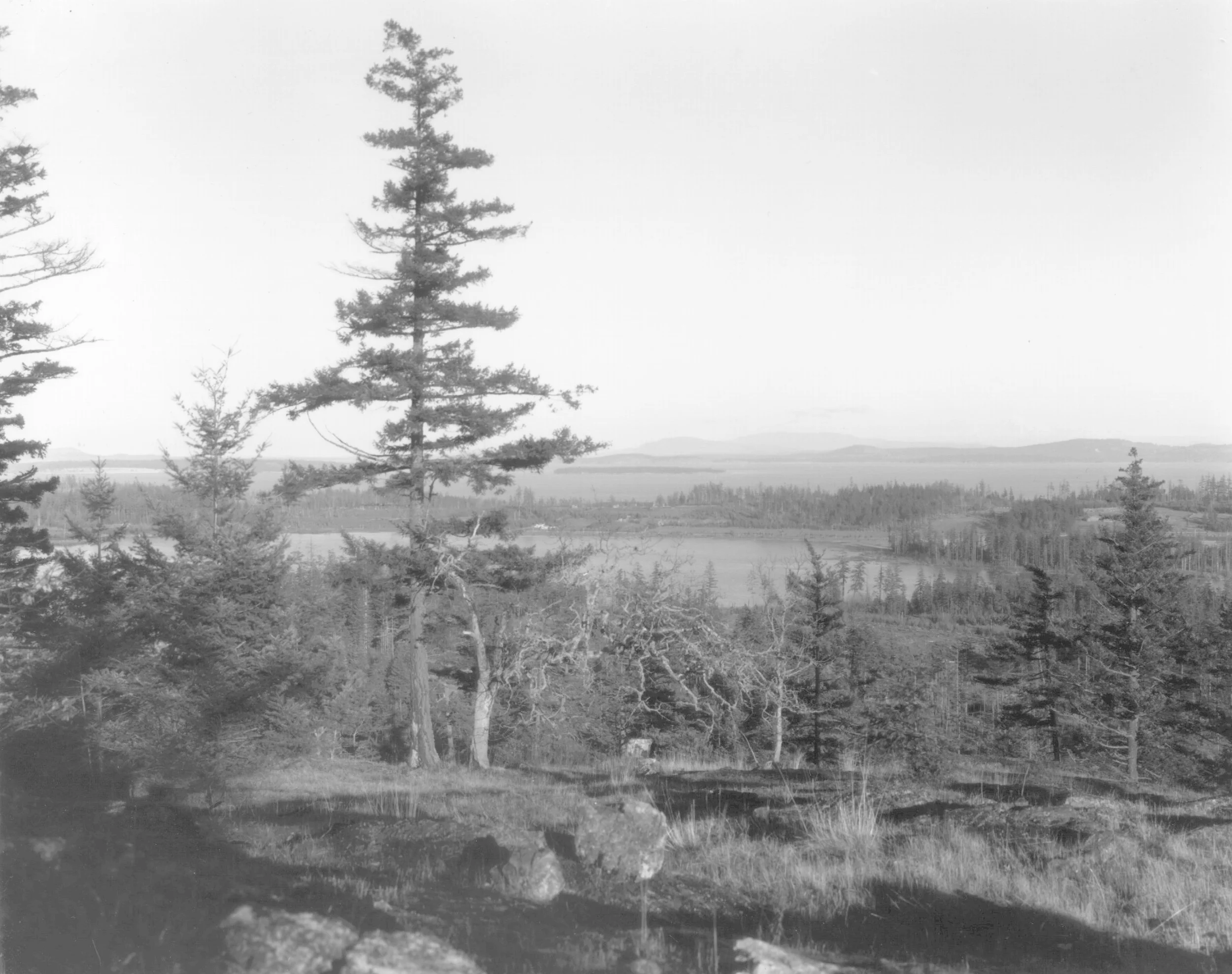 View of Elk Lake and distance from DAO site before construction