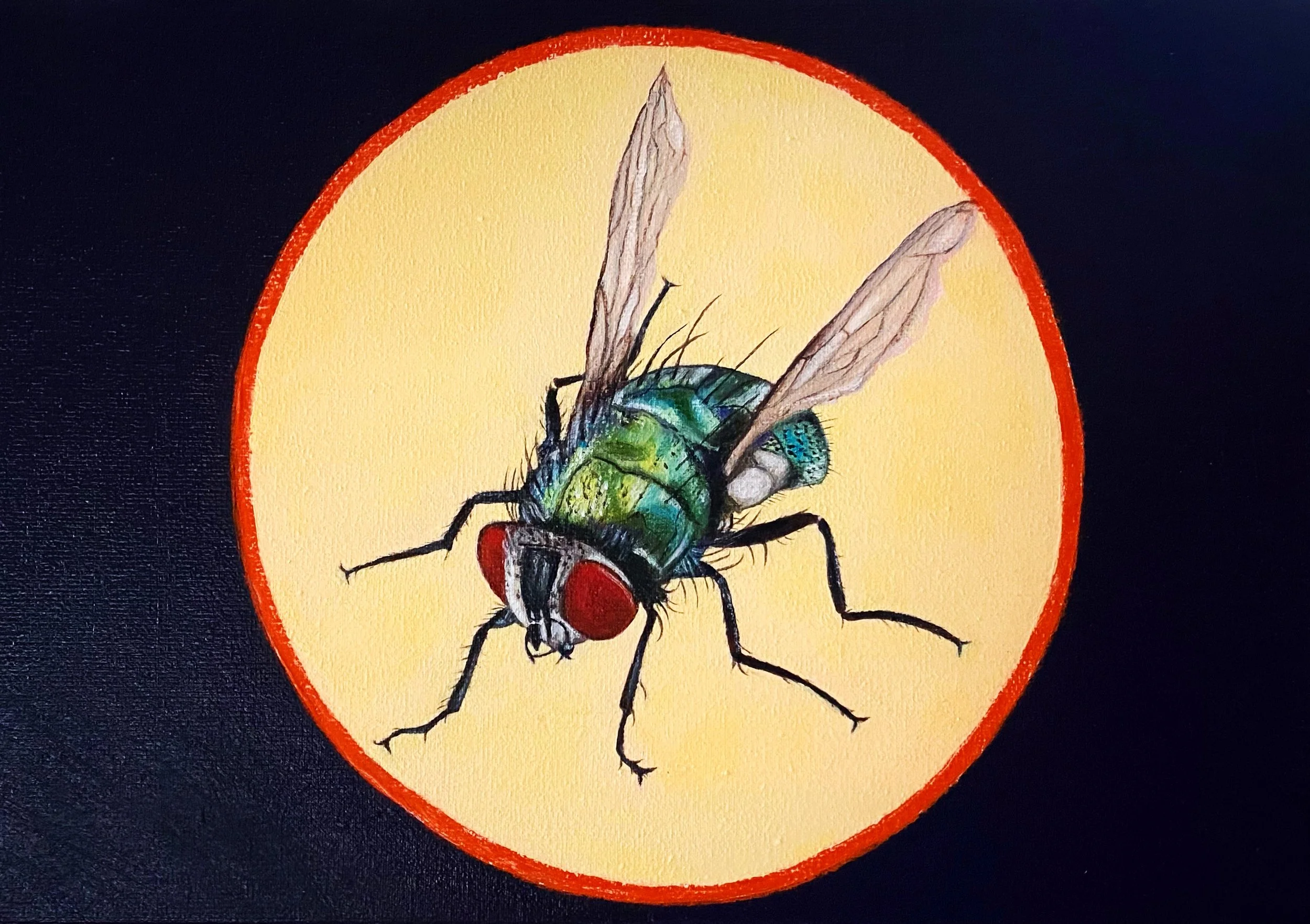 Die Fliege | 30 x 20 cm | Ölfarbe auf Leinwand