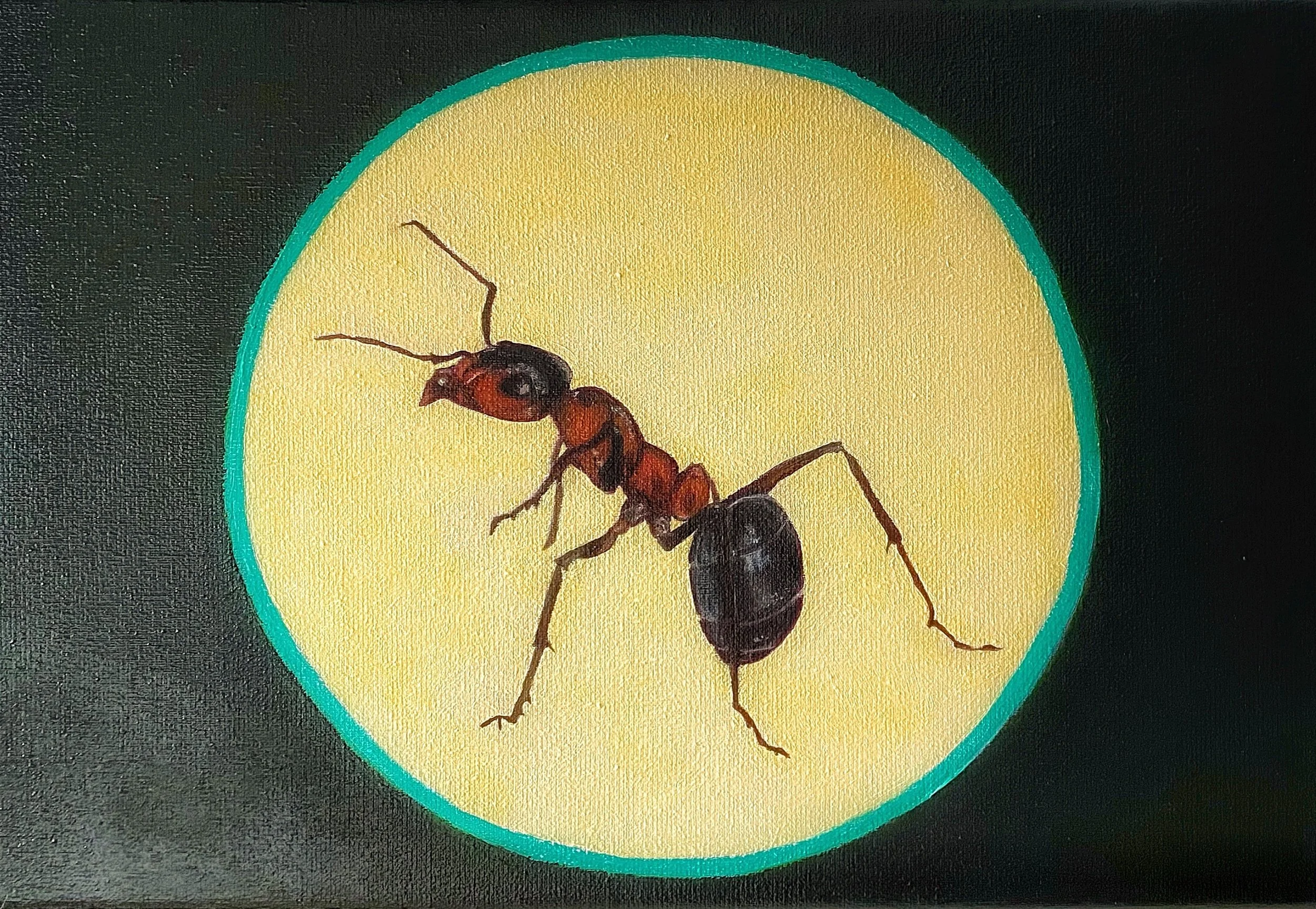 Die Ameise | 30 x 20 cm | Ölfarbe auf Leinwand