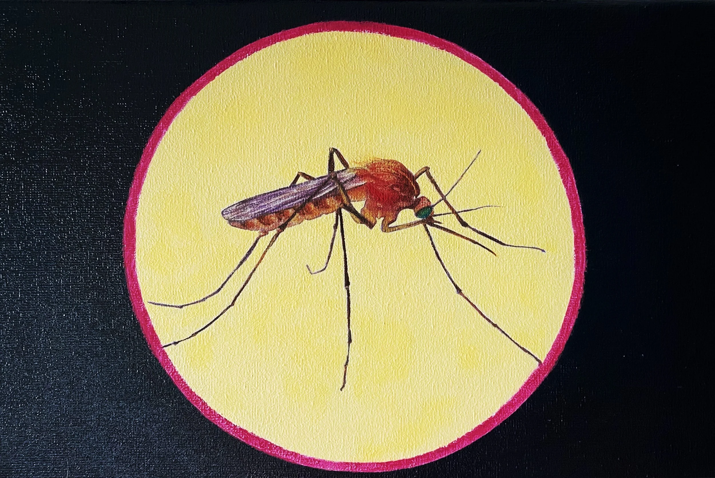 Die Mücke | 30 x 20 cm | Ölfarbe auf Leinwand