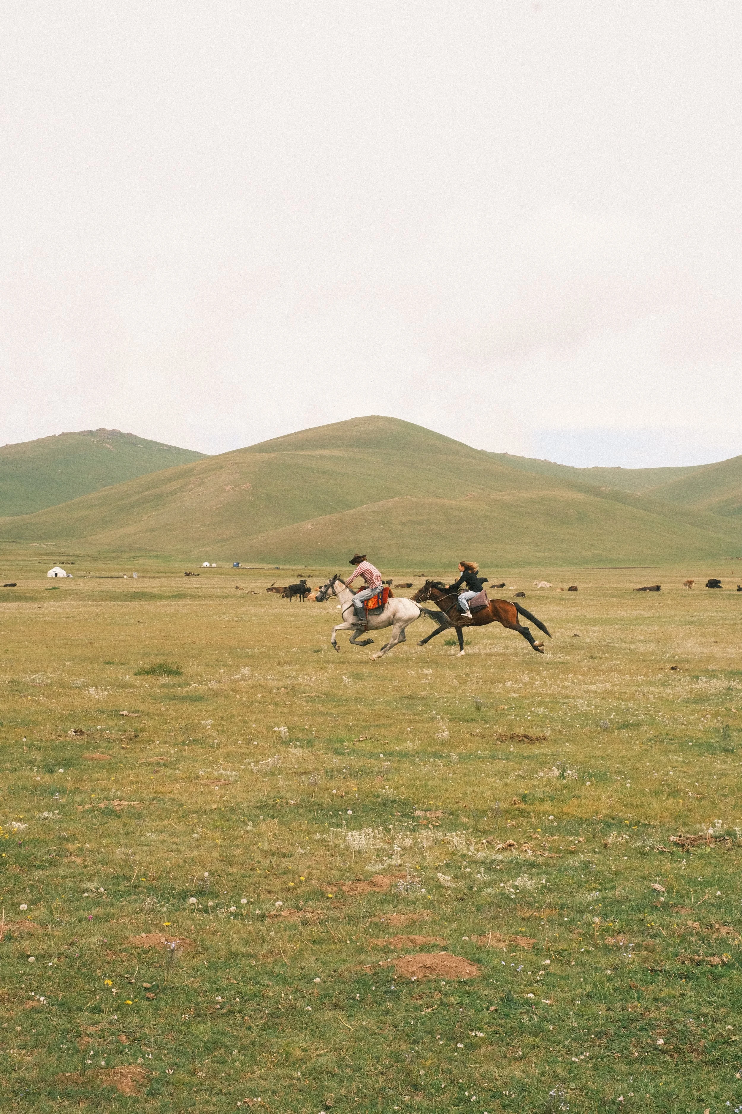 Two people riding horses across a grassy field with rolling hills in the background.