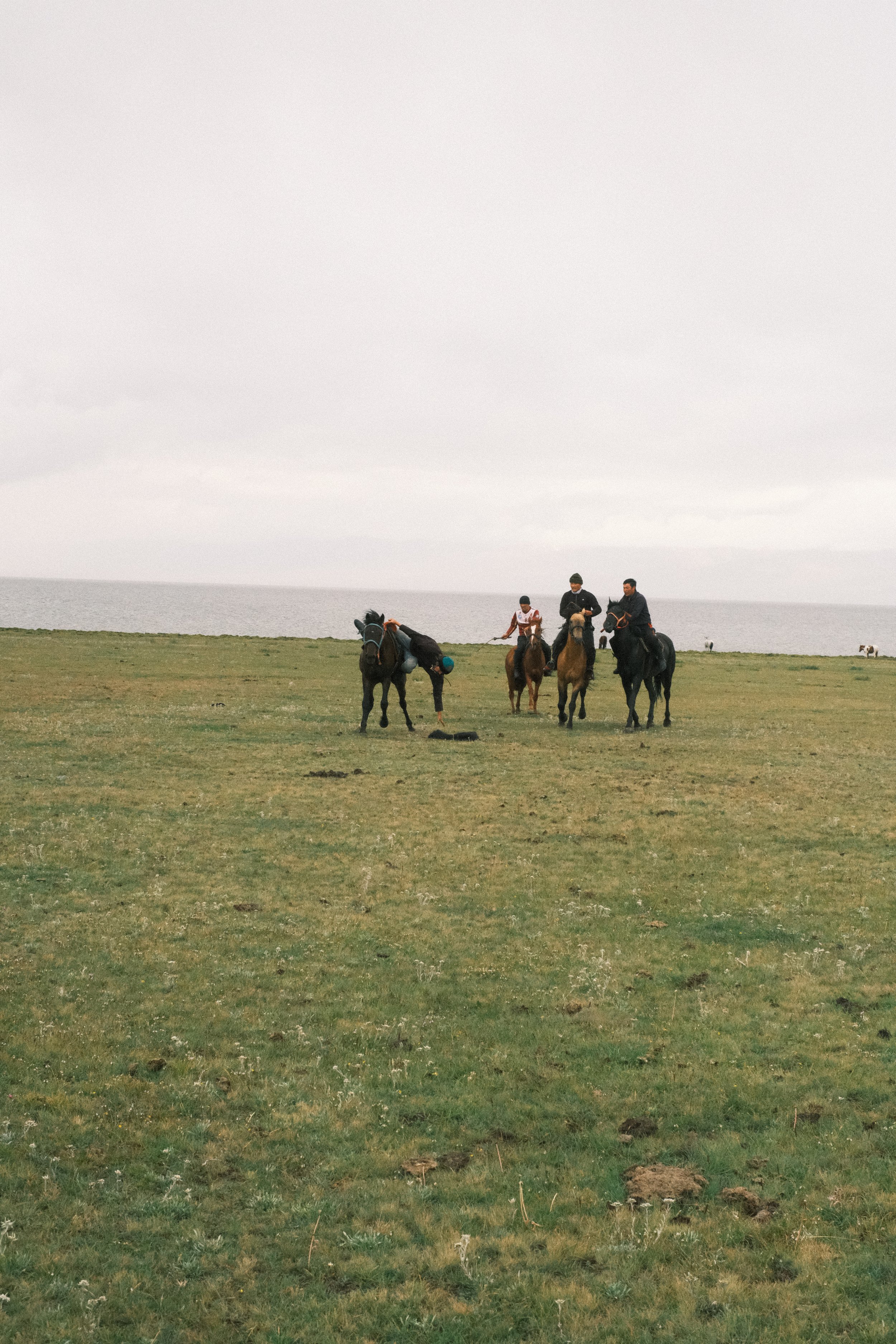 Four people on horseback and one person on foot in a grassy field near the ocean, with a cloudy sky overhead.