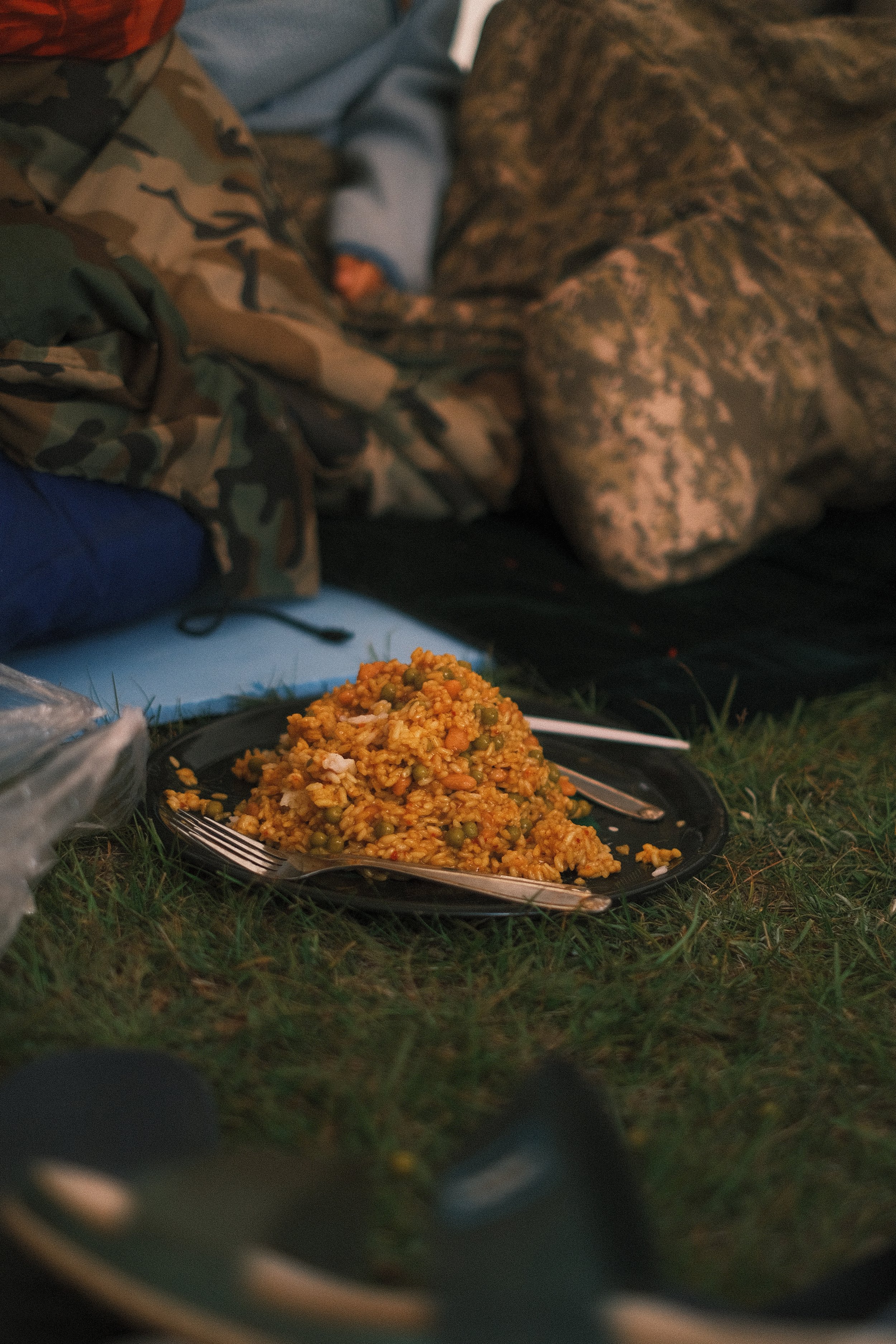 Plate of fried rice with peas, carrots, and chicken on grass in an outdoor setting, with camping gear and people in camouflage and casual clothing.