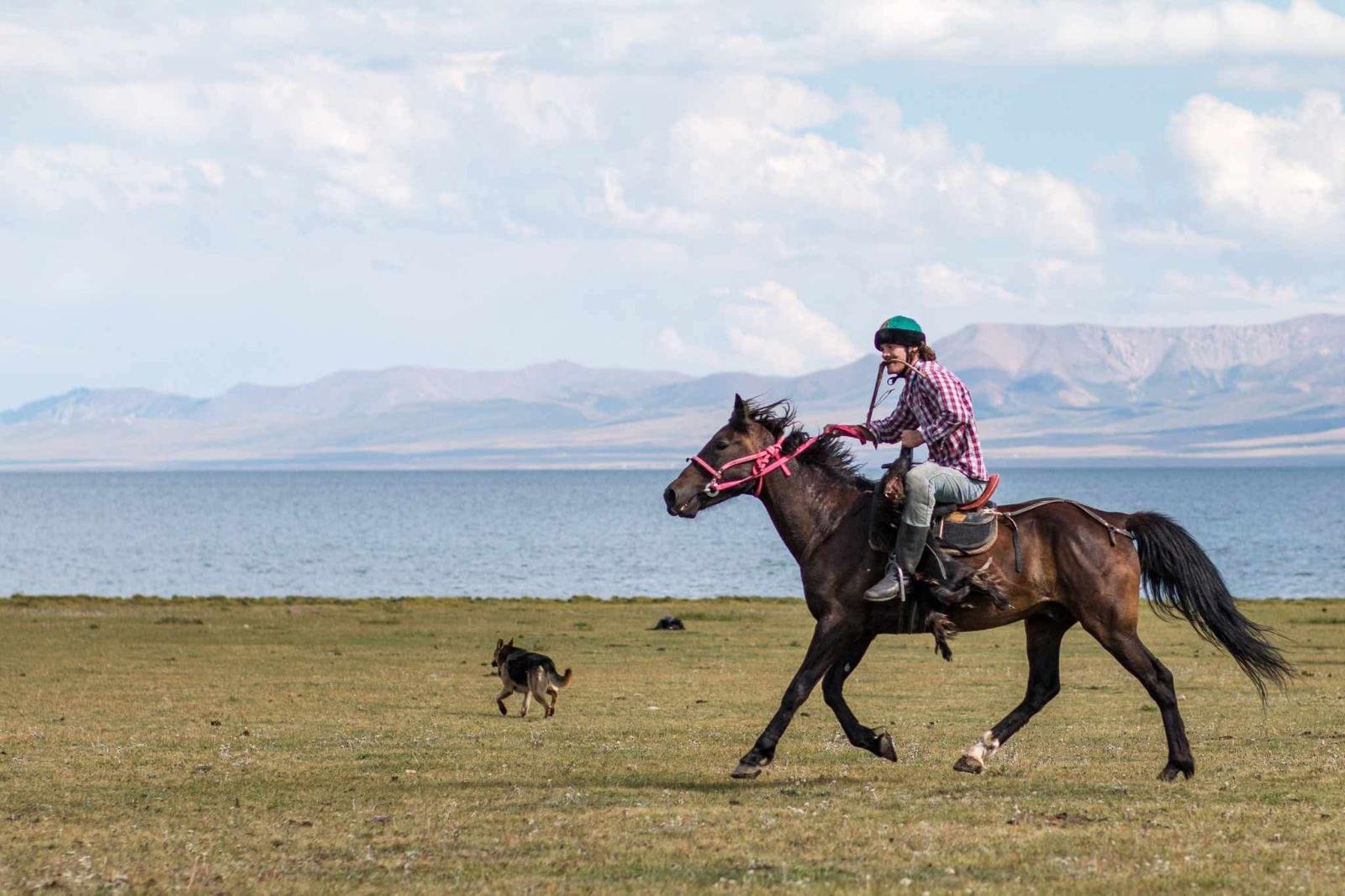 A person riding a galloping horse near a body of water with mountains in the background, a dog running nearby.