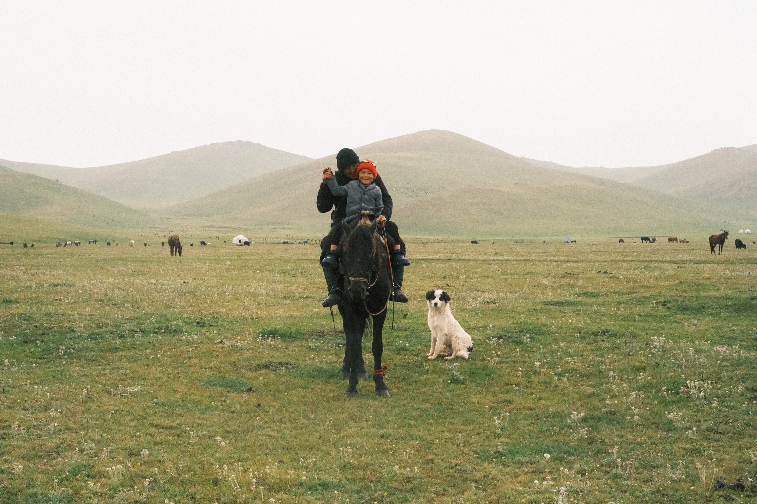 Two people riding a horse in a large grassy field with a dog sitting nearby. The background shows rolling hills and scattered horses and yurts under a cloudy sky.