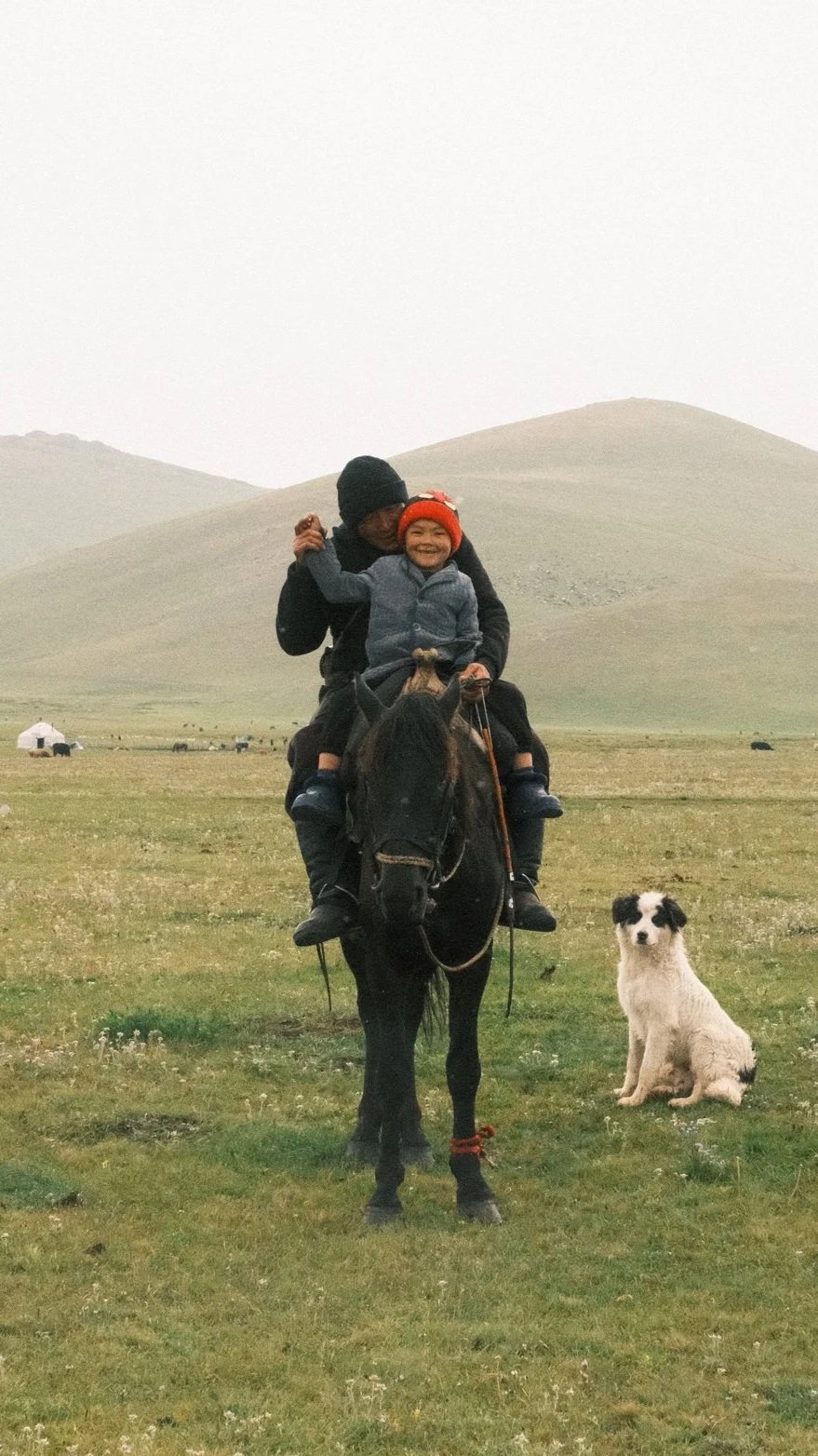 A person in black clothing and a child in a gray jacket and orange hat riding a black horse in a grassy field with a white and black dog sitting nearby and mountains in the background.