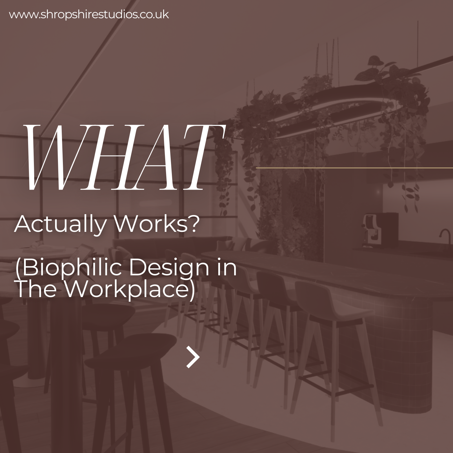 Interior of a modern workspace with a kitchen island, barstools, hanging plants, and a coffee machine.