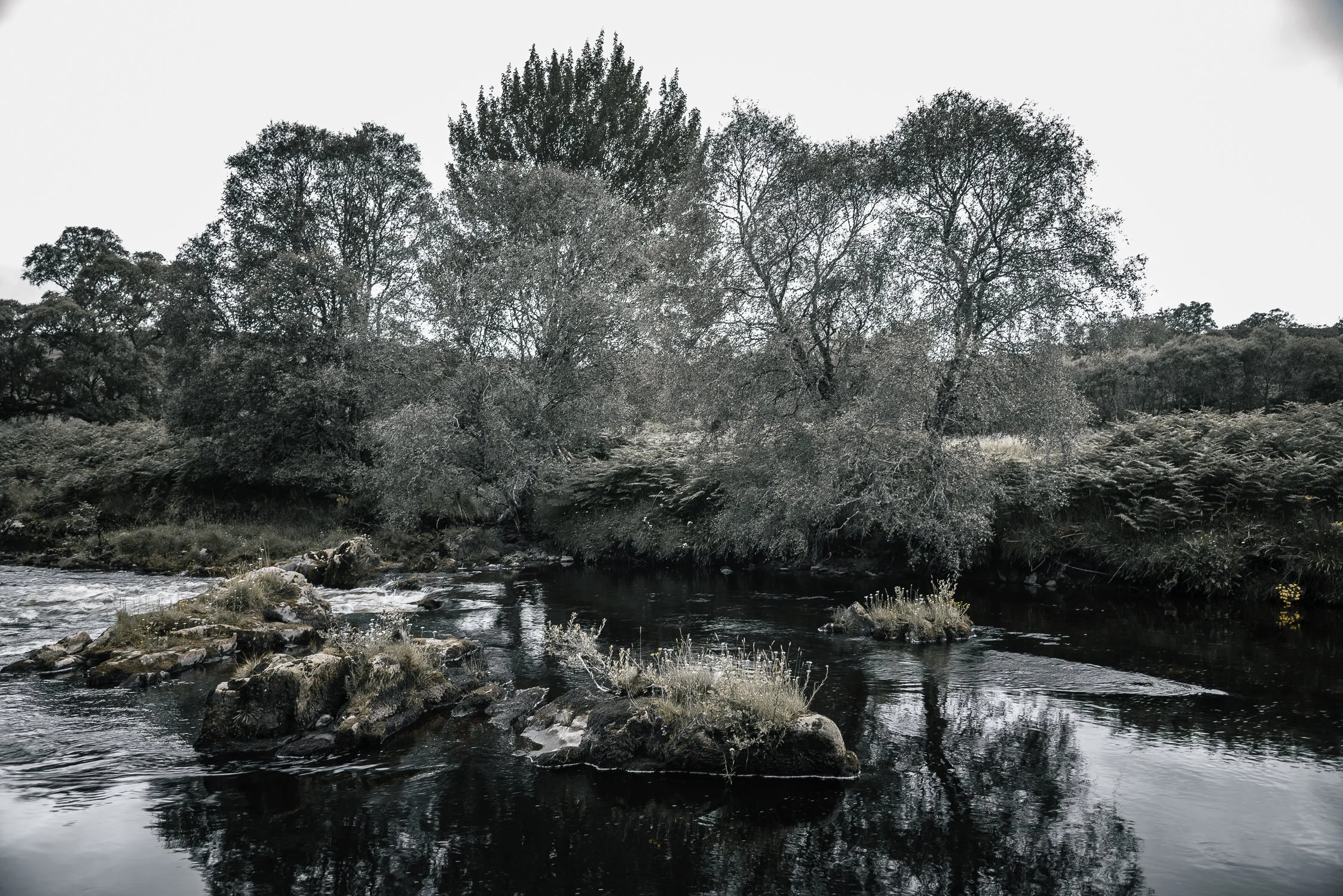 _DSC4025 1200 web.jpg