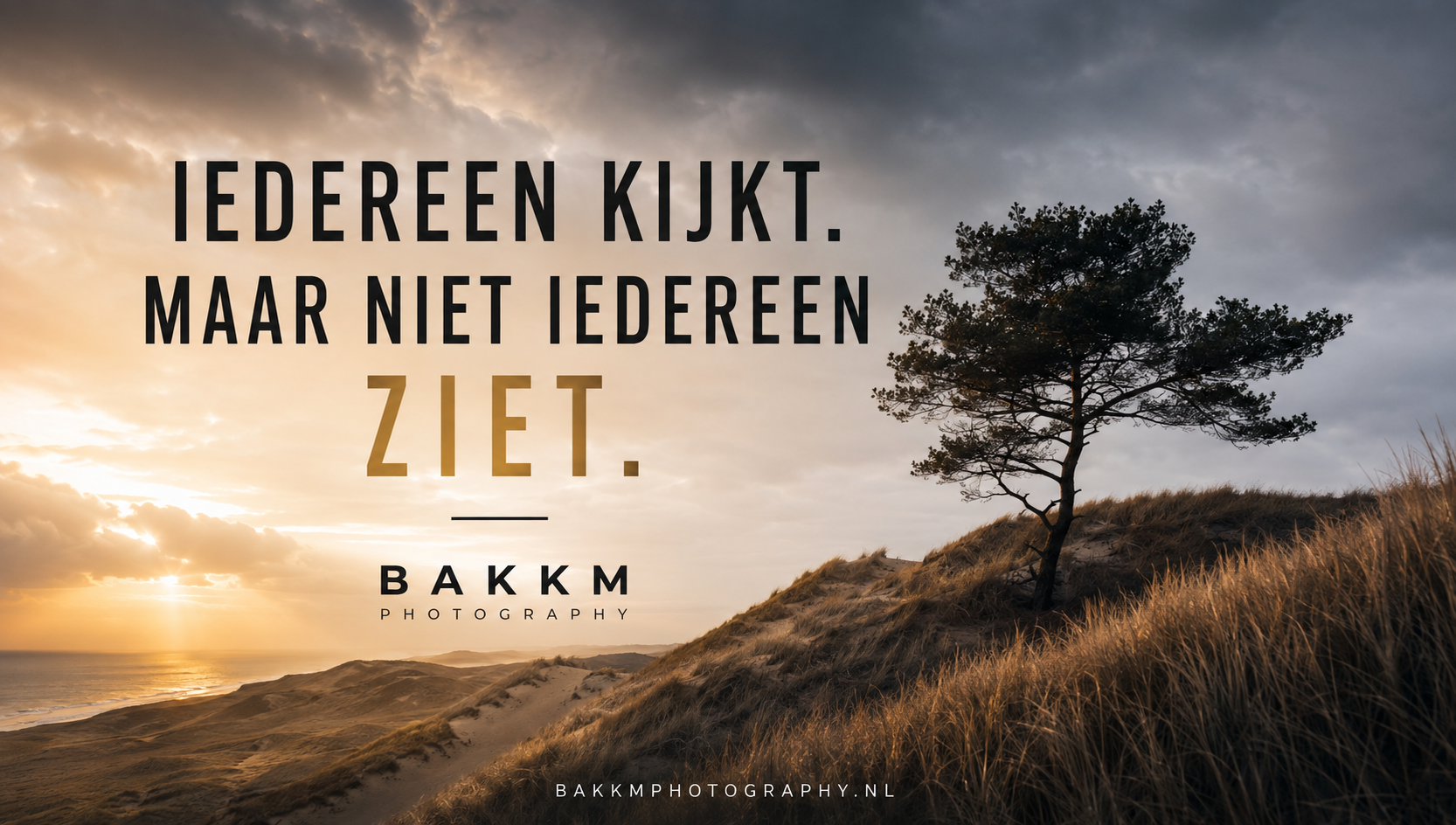 Creatief bedrijfsuitje in de Schoorlse Duinen