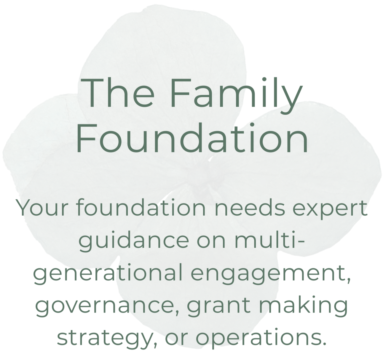 A light-colored flower with text overlay: "The Family Foundation, Your foundation needs expert guidance on multi-generational engagement, governance, grant making strategy, or operations."