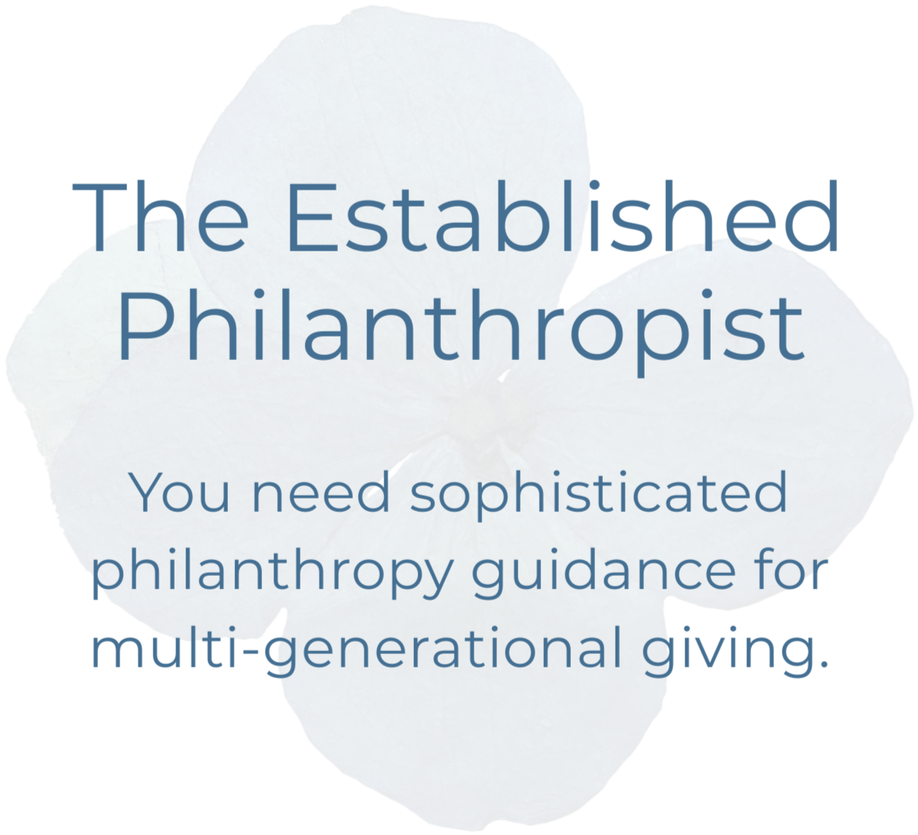 Text on a light background reads: 'The Established Philanthropist. You need sophisticated philanthropy guidance for multi-generational giving.'