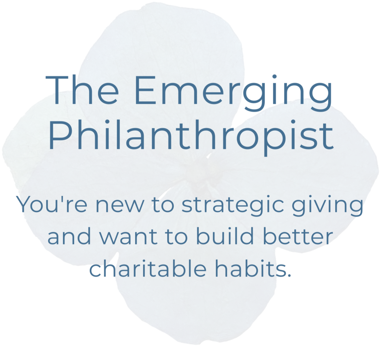 Text on a background resembling a light-colored flower, reading 'The Emerging Philanthropist. You're new to strategic giving and want to build better charitable habits.'