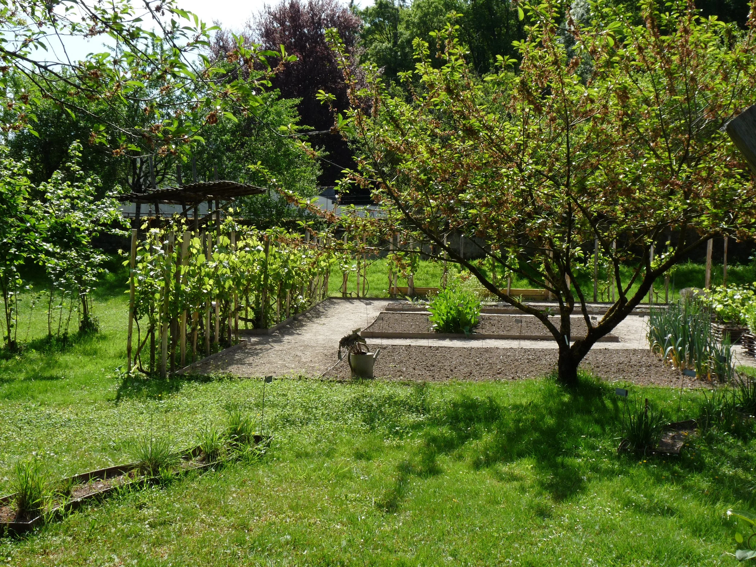 P1150243.JPG