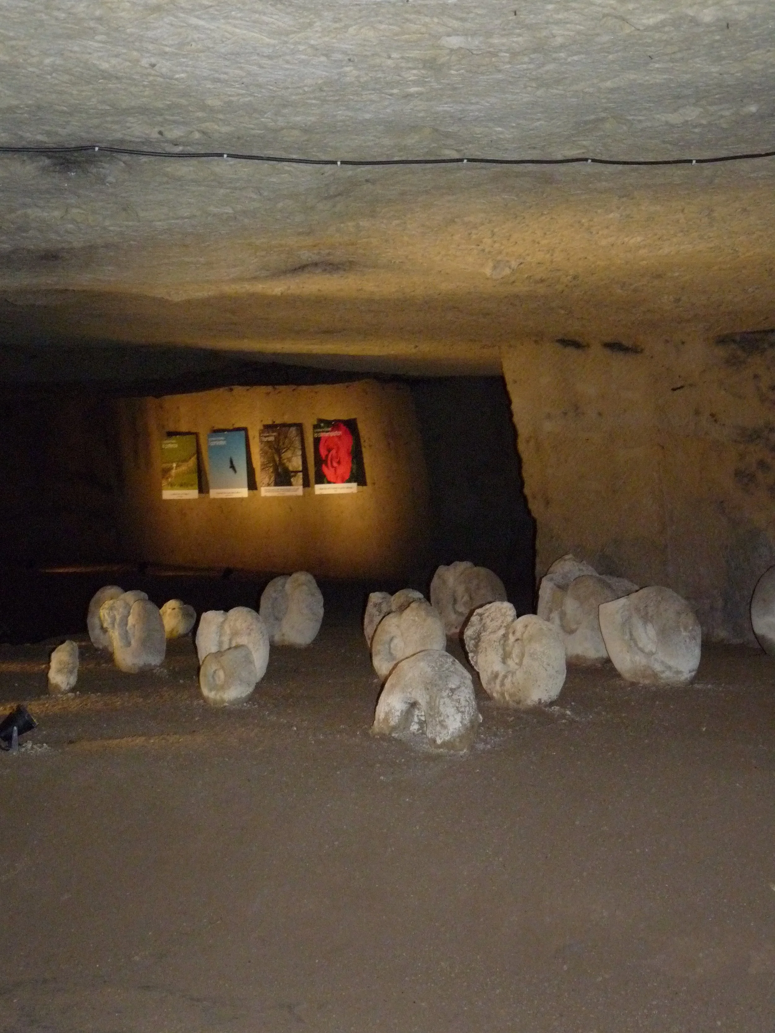 P1150280.JPG