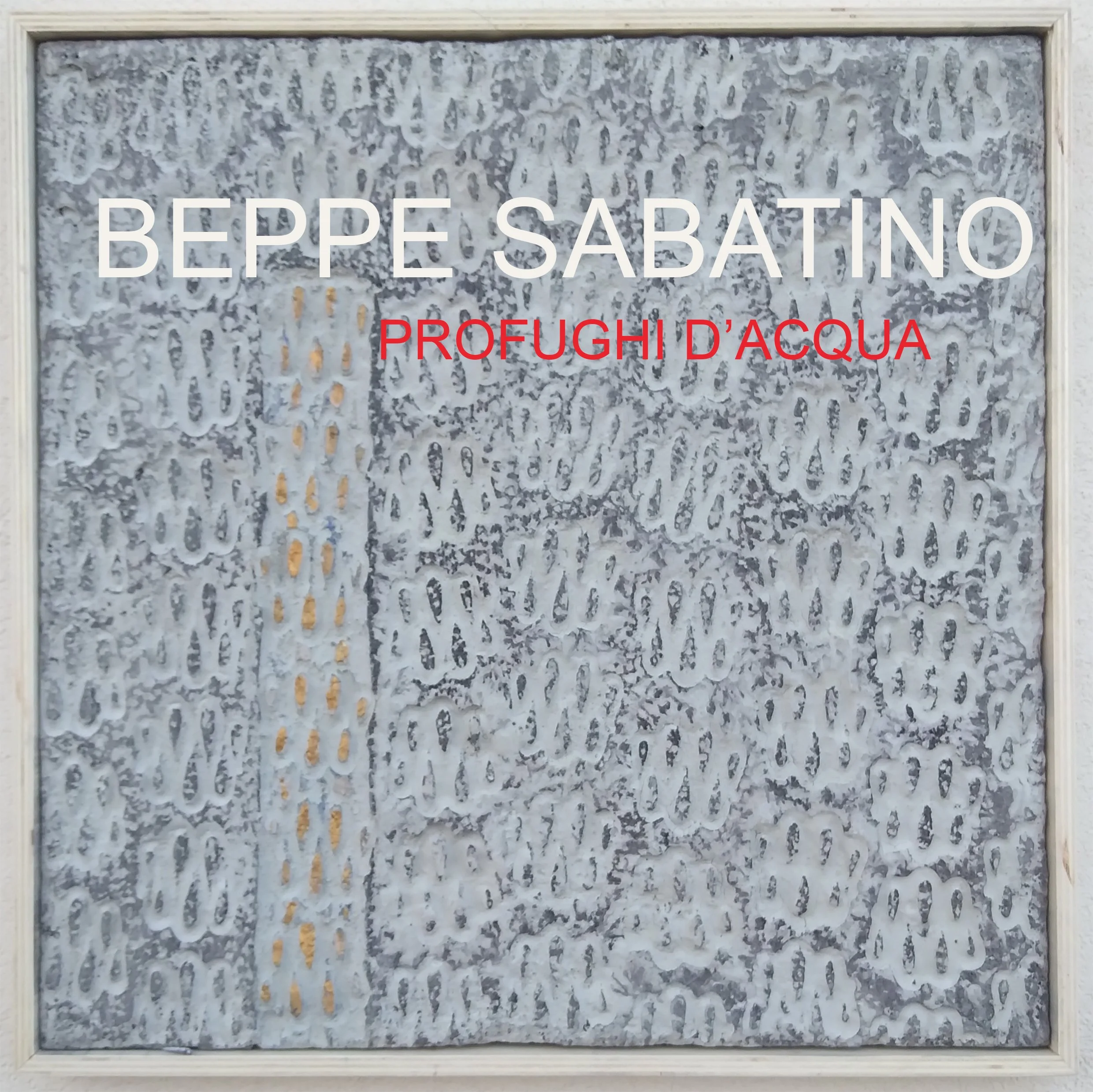 COPERTINA P ACQUA.jpg