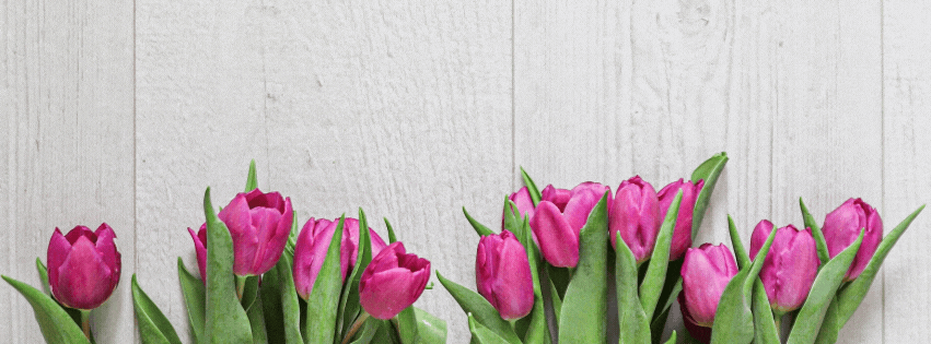 Pink And Green Simple Photo Hello Spring Facebook Cover.gif