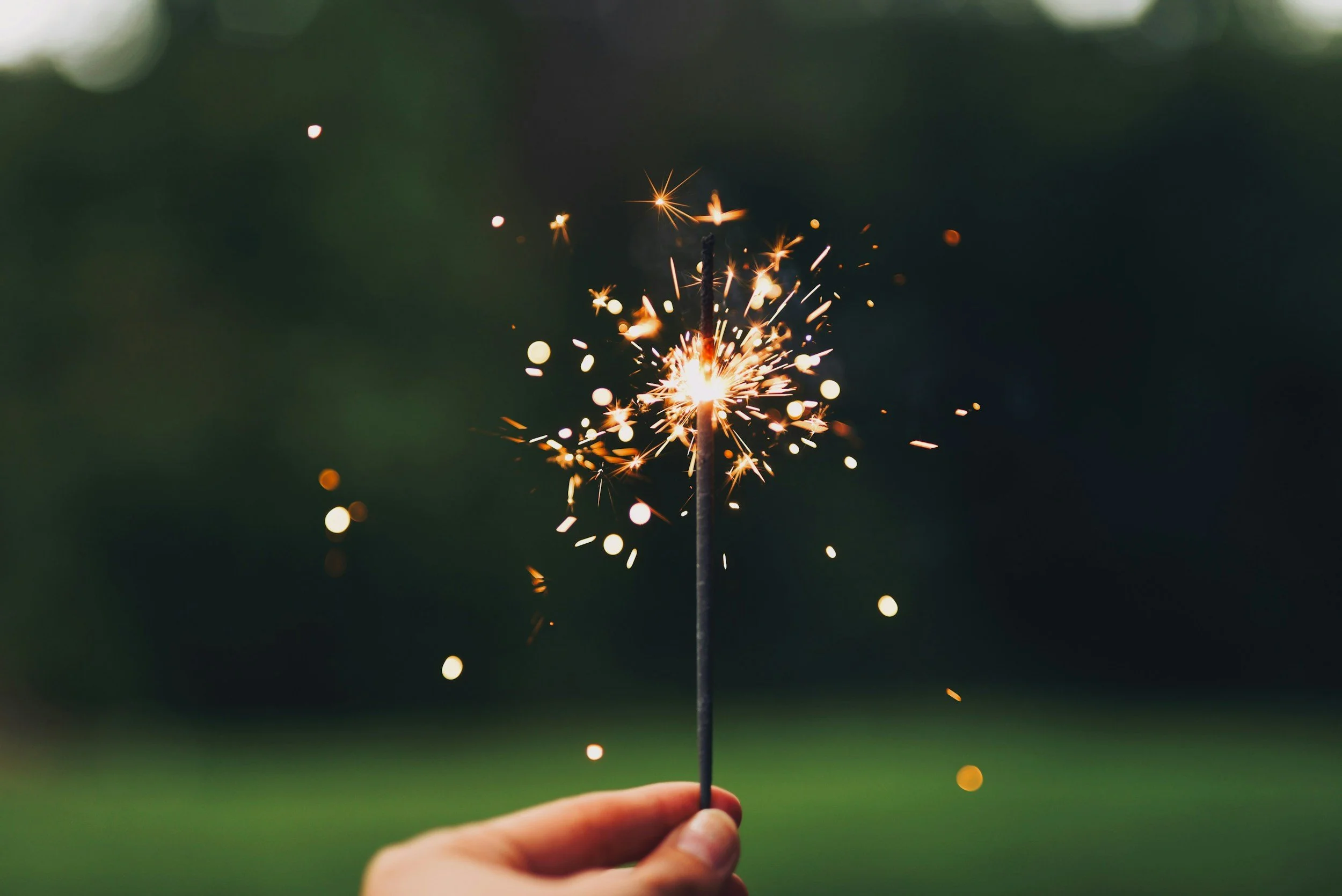 Sparkler Party with Gaston County Democrats