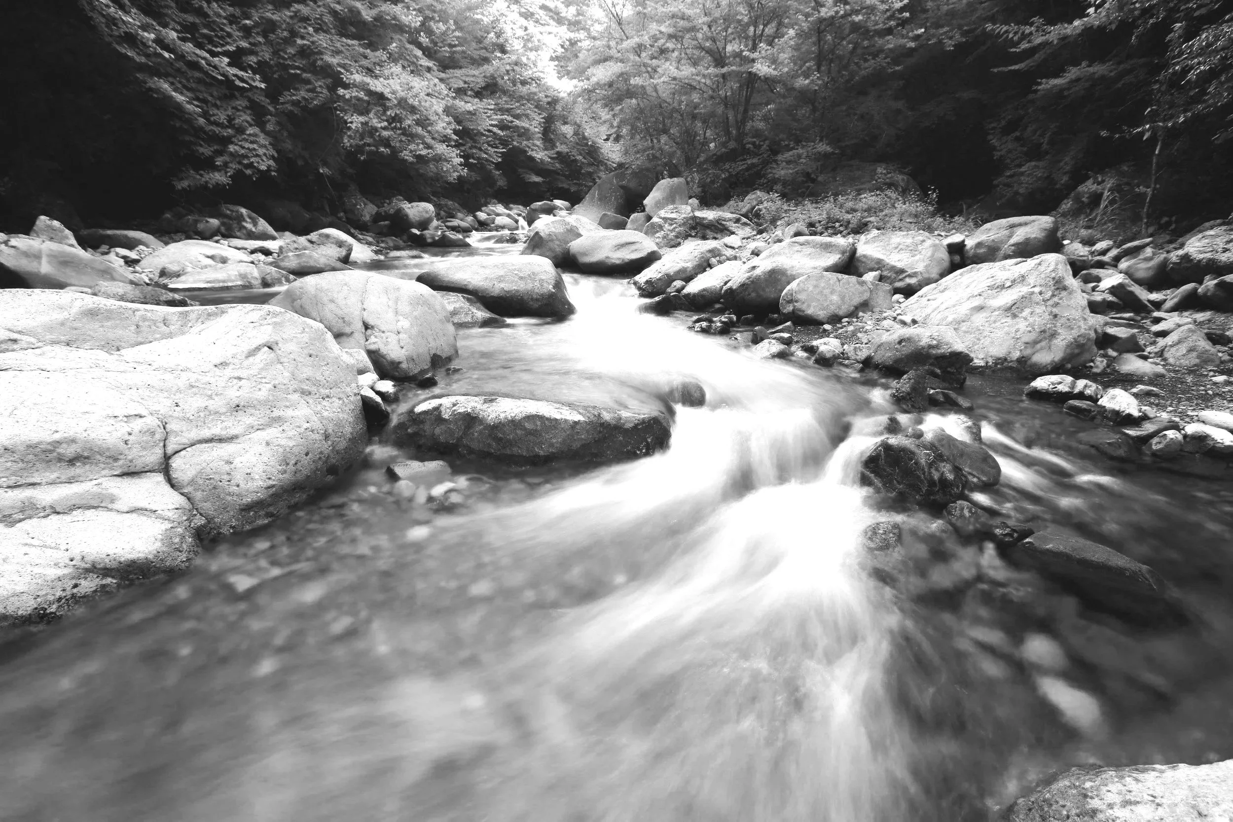 Black and white photo of a flowing river through a rocky landscape with trees on the riverbank.