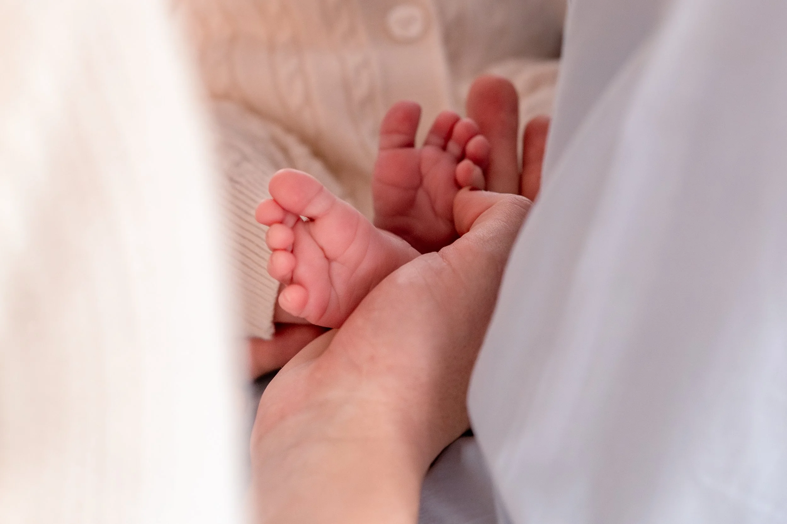 A parent gently holds a newborn baby's tiny hand, showcasing the contrast in size and delicate features.