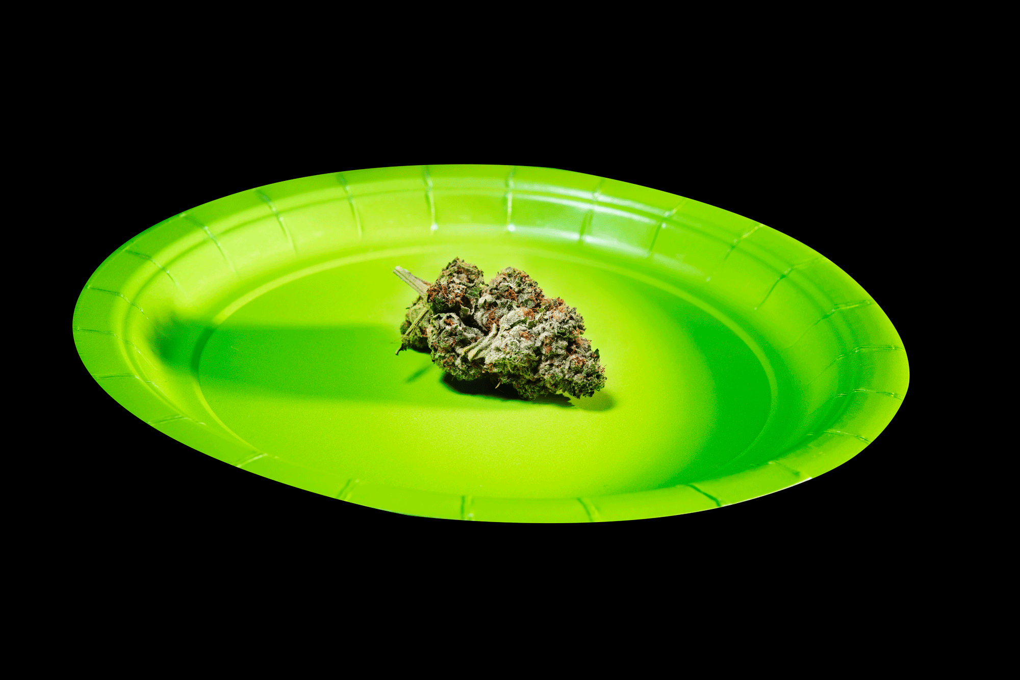 A green disposable plate with a cannabis bud placed on it, black background.