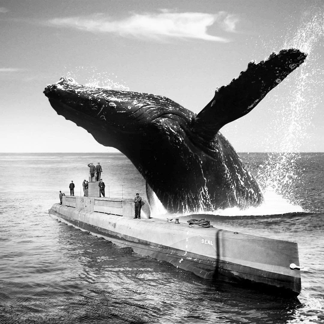 A giant whale breaching the water near a submarine, with people standing on the submarine observing the whale.