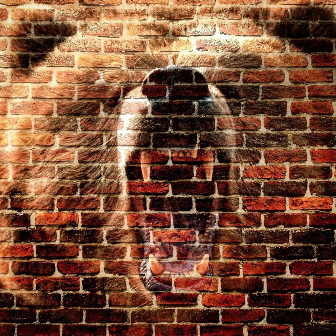 A mural of a large dog painted on a brick wall, giving the appearance that the dog is emerging through the bricks.