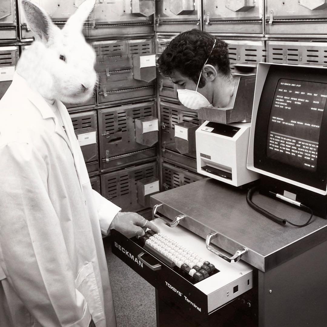 Person with a rabbit head wearing a lab coat operating a computer terminal in a room with metal storage lockers, with a person wearing a face mask leaning into a computer tray.