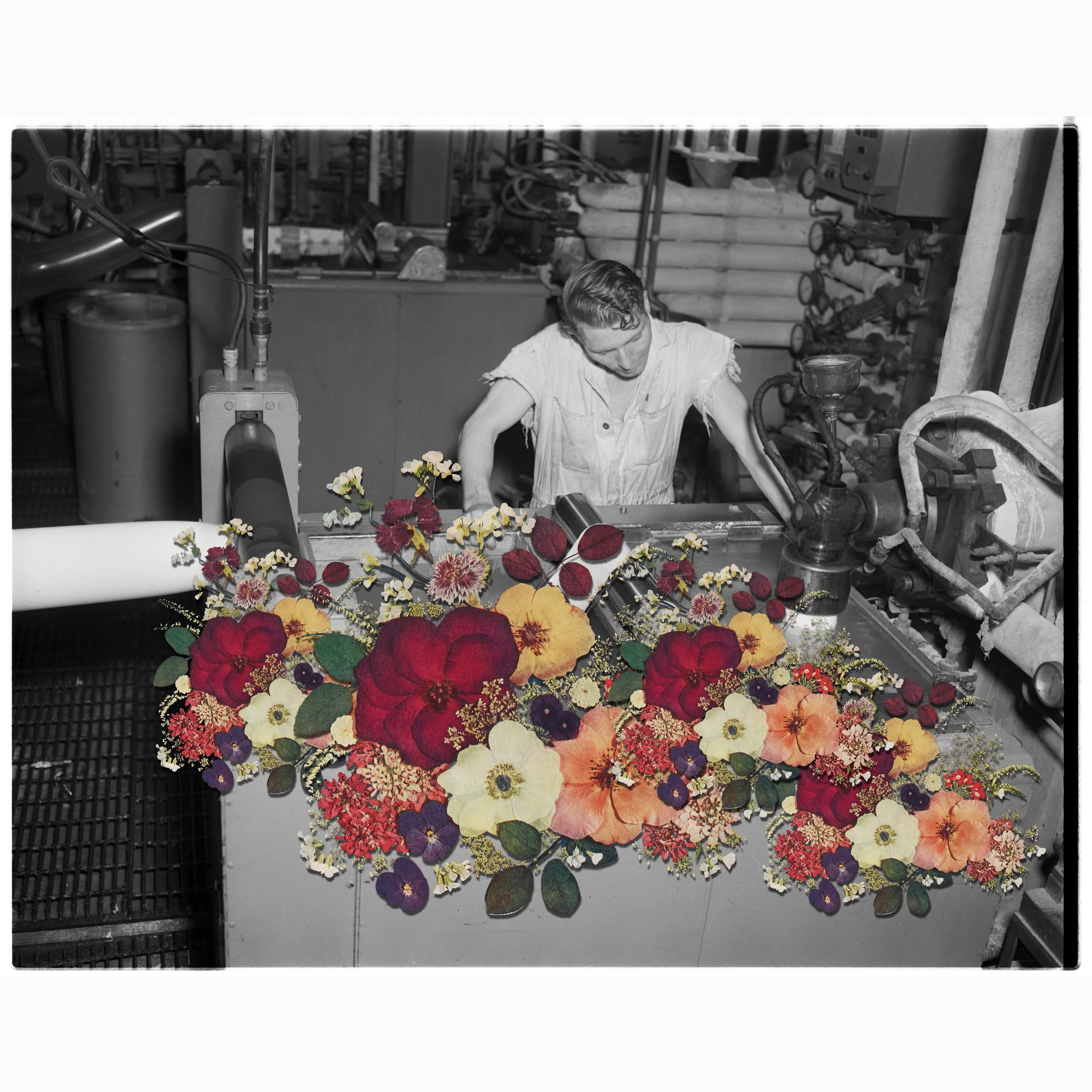 Black and white photo of a woman working in a factory, with vibrant colored flowers digitally added in the foreground.