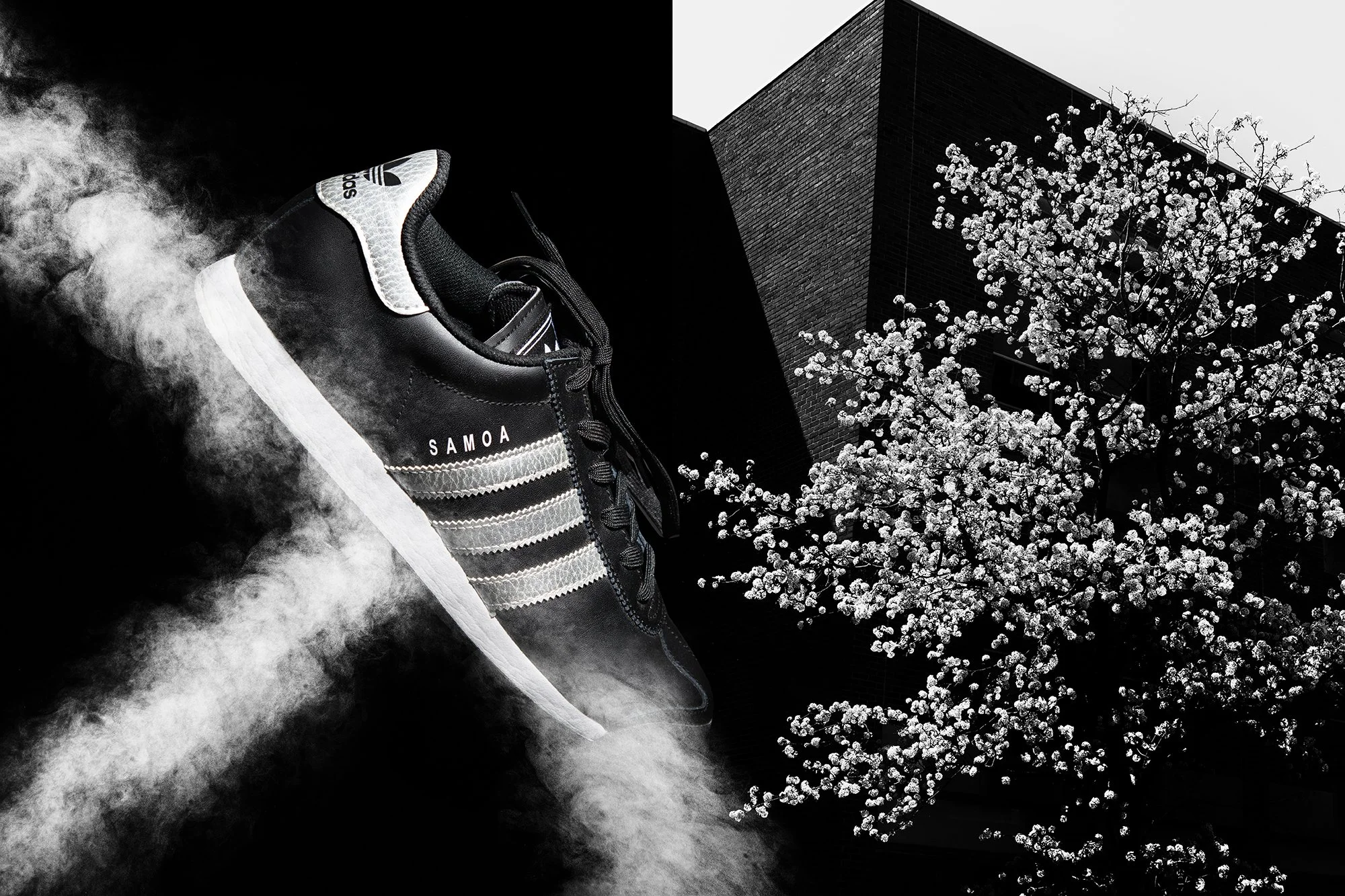 Black Adidas Samoa sneaker with white stripes and smoke effect on a black background, next to a blossoming tree with white flowers against a dark building.