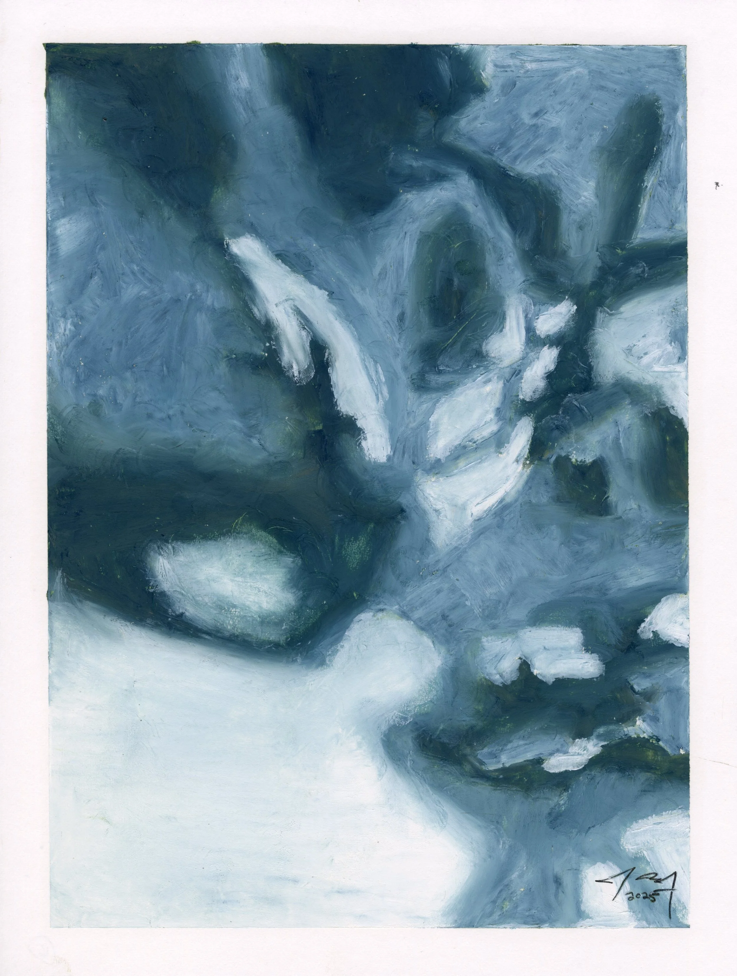 Meditations: White Orchids XII