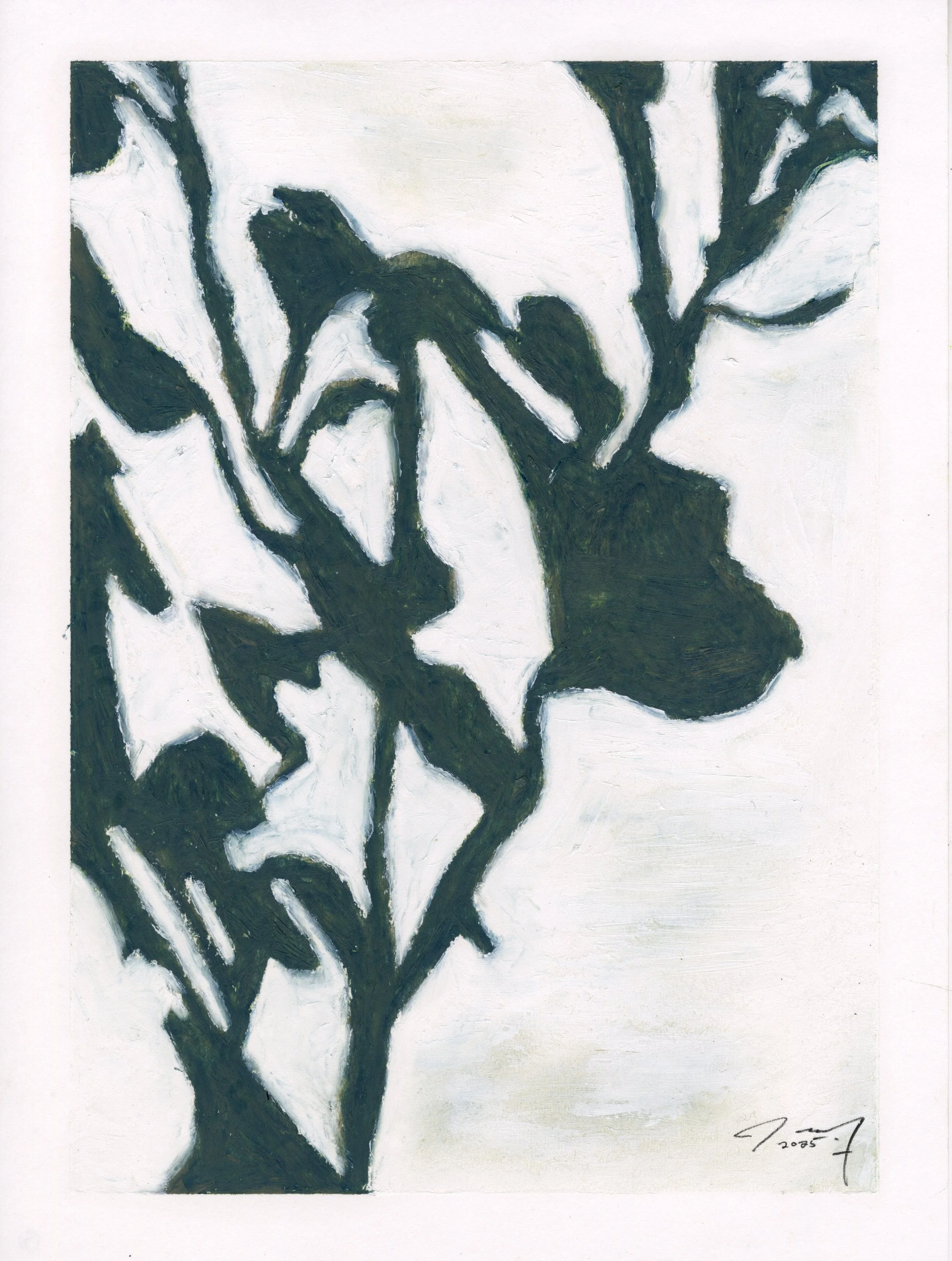 Meditations: White Orchid III